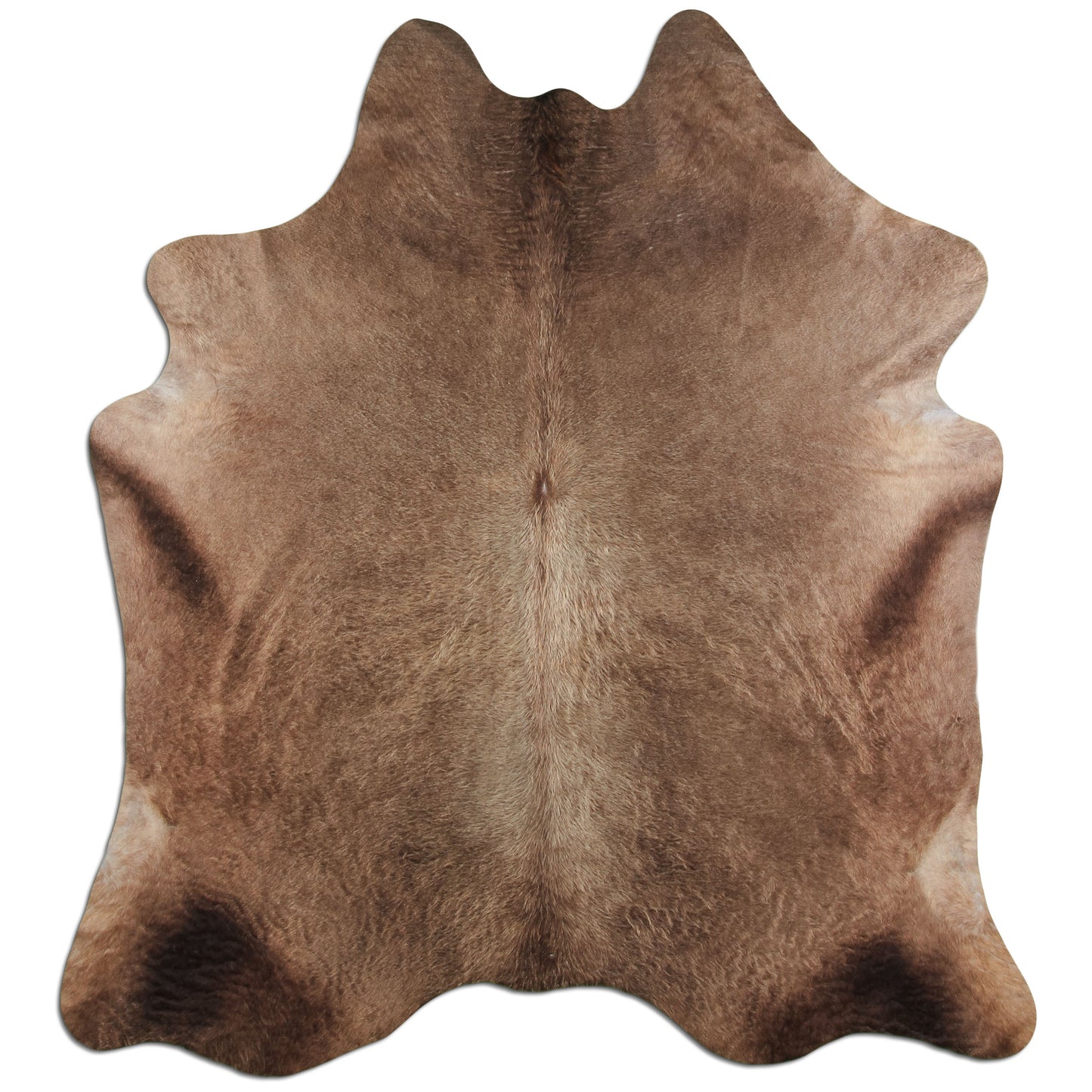 Kuhfell Teppich - L210 x B180 cm - champagner braun
