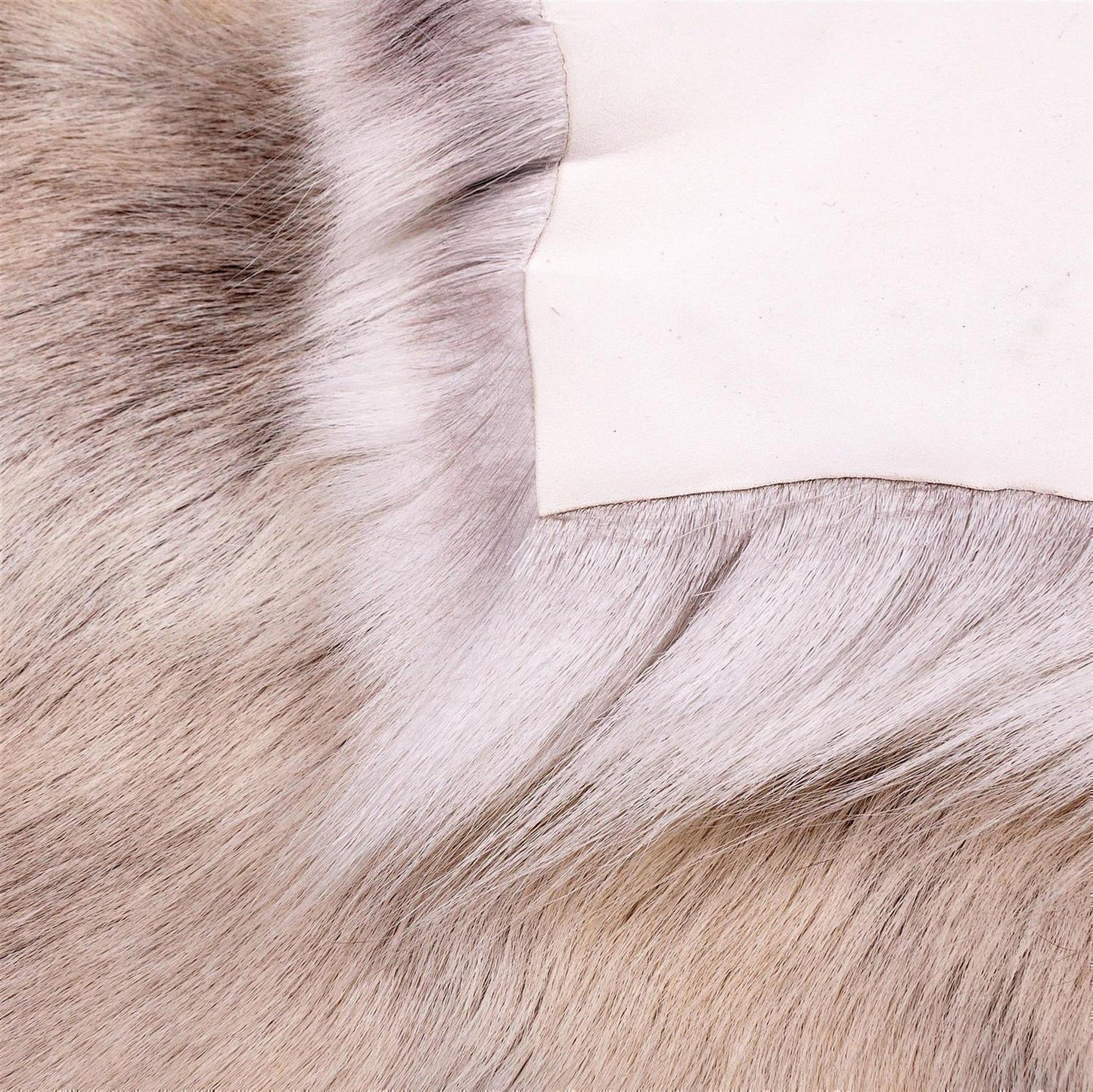 Rentierfell original aus Skandinavien, hell, XXL (150-160 cm)