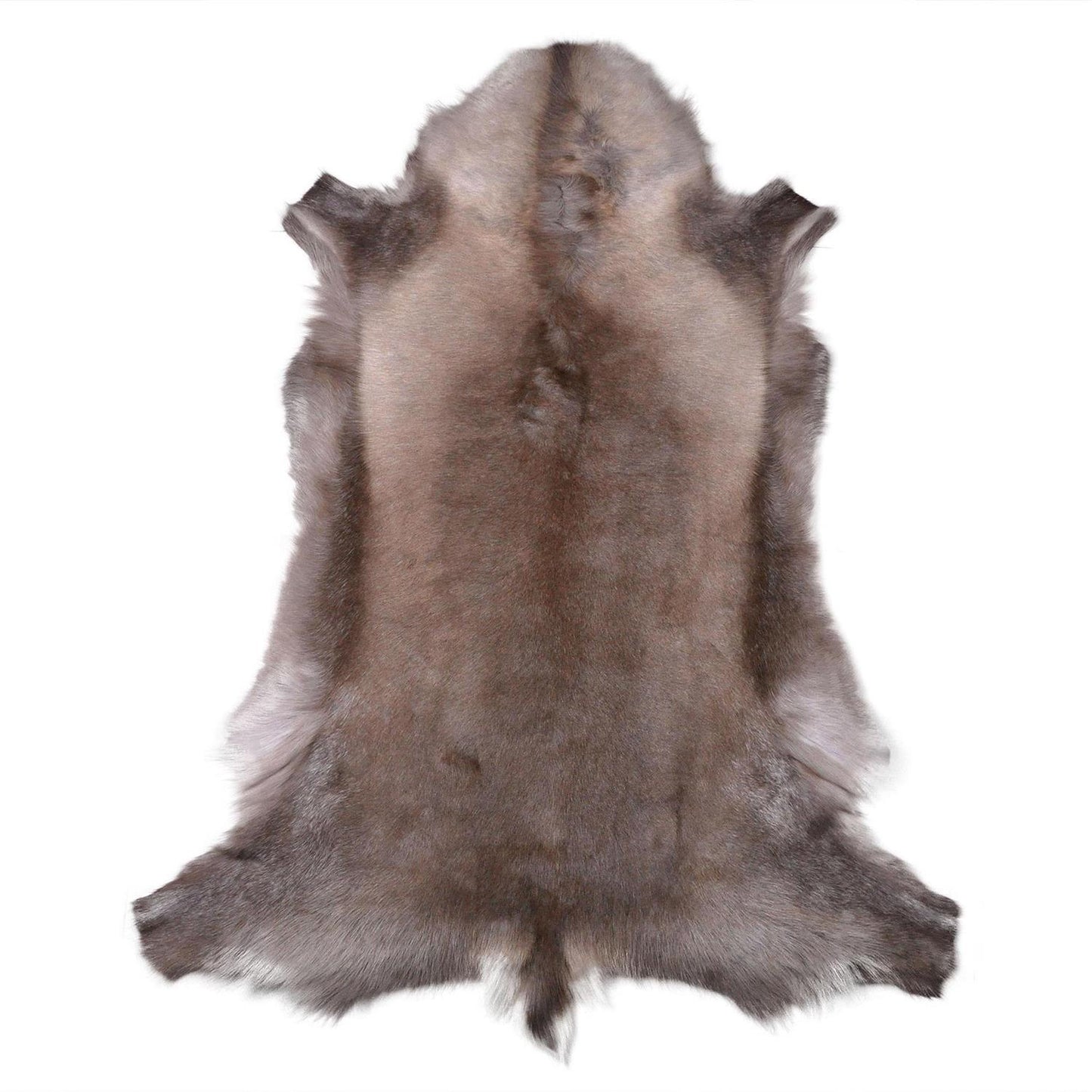 Rentierfell original aus Skandinavien, dunkel, XL (140-145 cm)