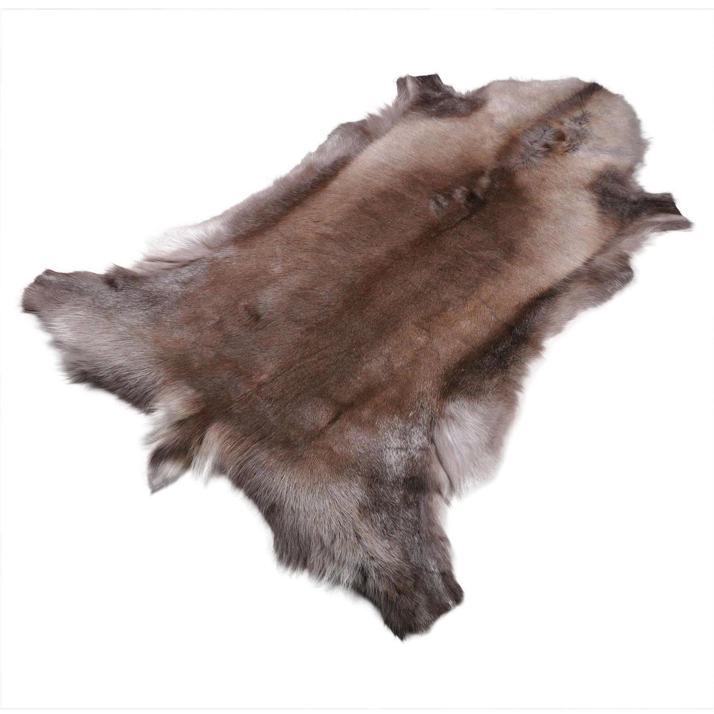 Rentierfell original aus Skandinavien, dunkel, XL (140-145 cm)