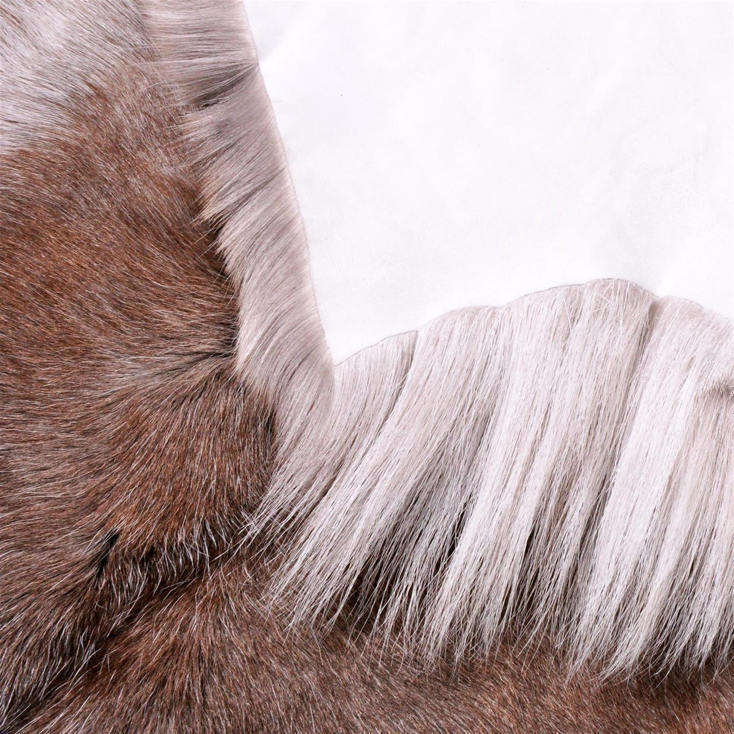 Rentierfell original aus Skandinavien, dunkel, XL (140-145 cm)