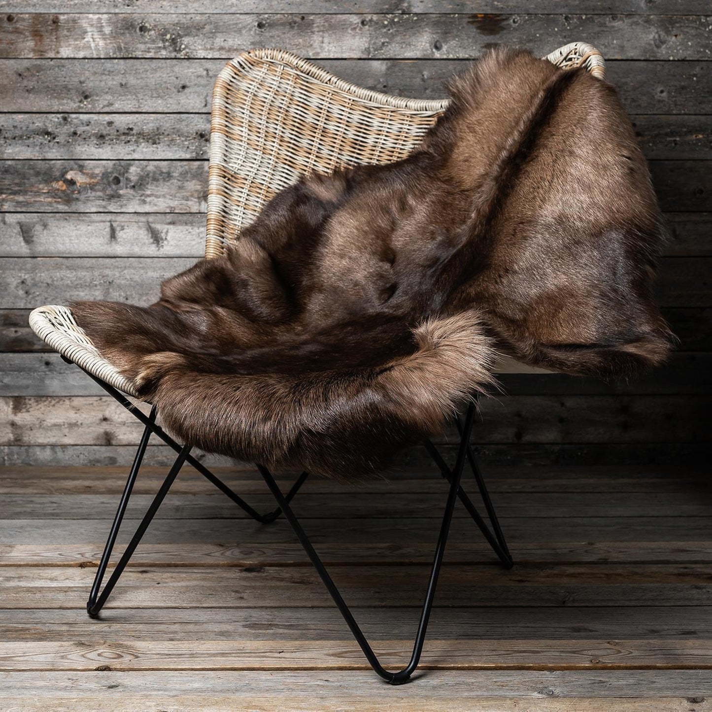 Rentierfell original aus Skandinavien, dunkel, L (110-135 cm)