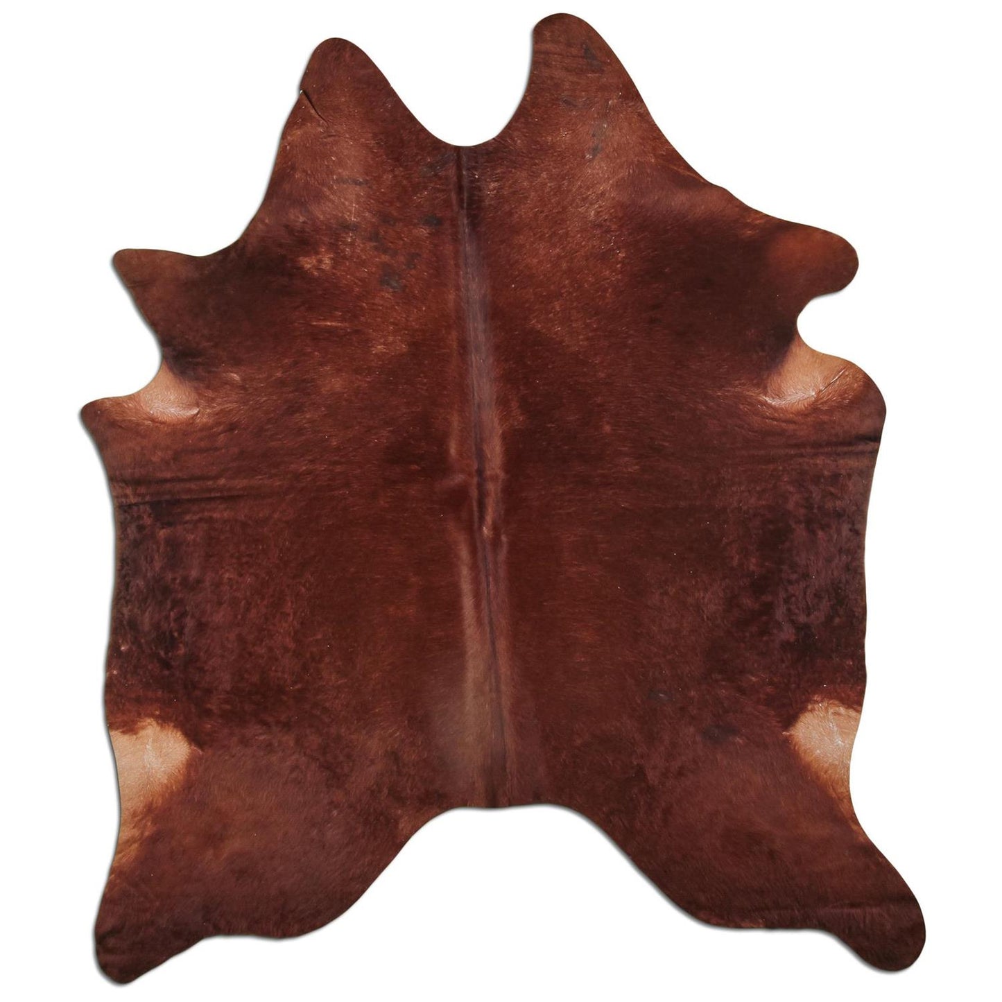 Kuhfell Teppich - L211 x B181 cm - braun