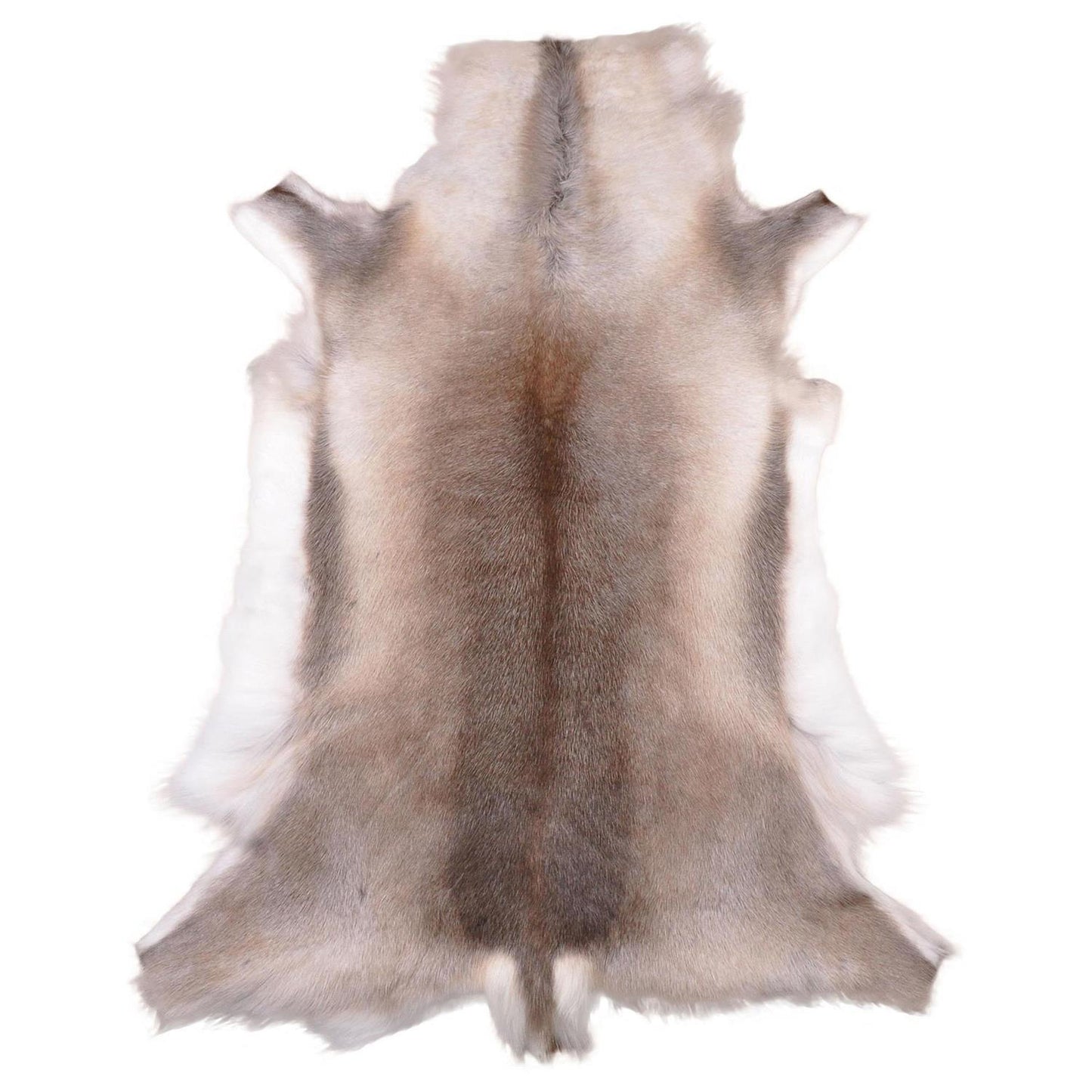 Rentierfell original aus Skandinavien, hell-dunkel, L (110-135 cm)