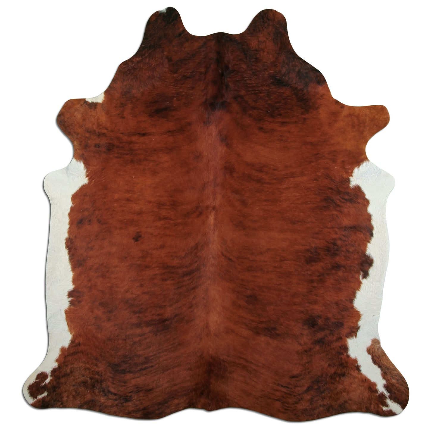 Kuhfell Teppich - L238 x B210 cm - rotbraun weiß schwarz