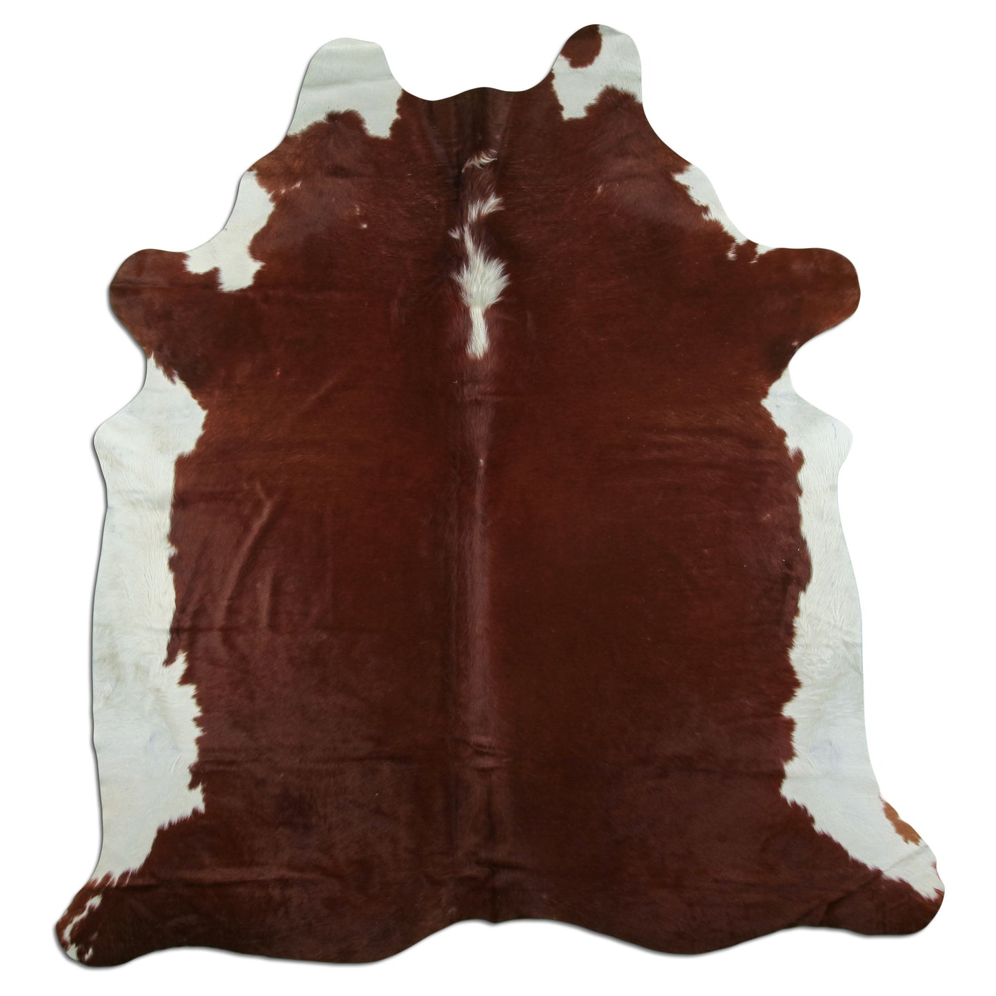 Kuhfell Teppich - L215 x B210 cm - braun weiß