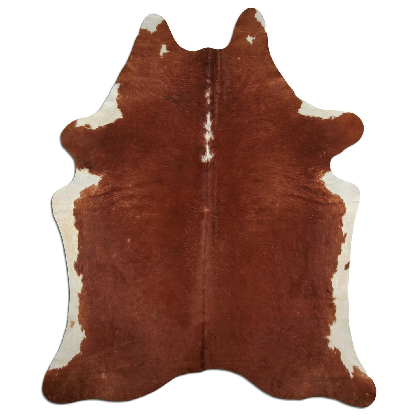 Kuhfell Teppich - L180 x B220 cm - rotbraun weiß