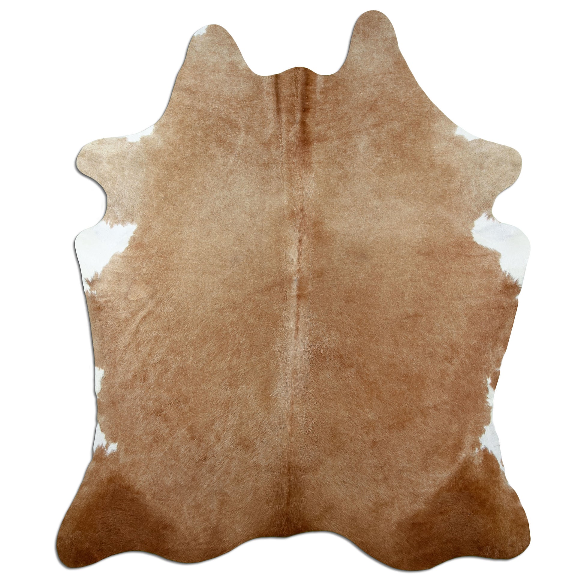 Kuhfell Teppich Karamell, 231 × 186 cm – Naturprodukt, Einzelstück