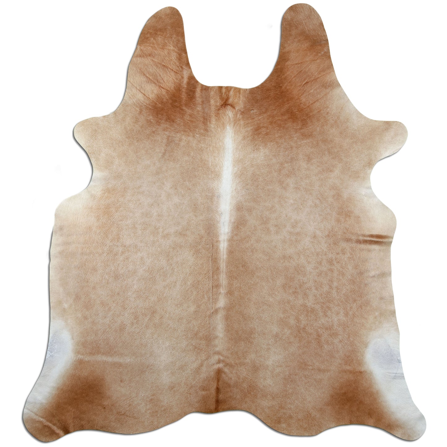 Kuhfell Teppich Karamell, 210 × 185 cm – Naturprodukt, Einzelstück