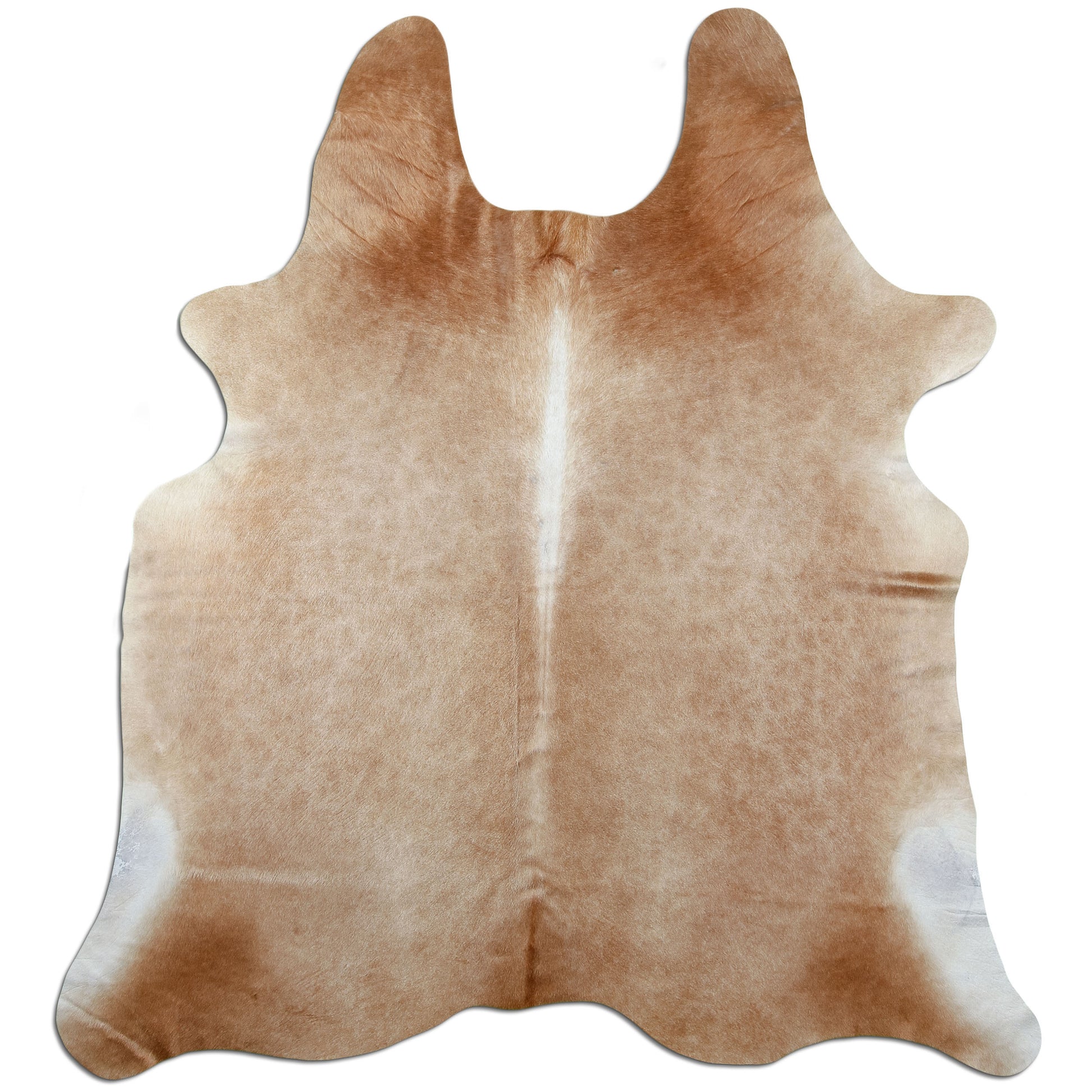 Kuhfell Teppich Karamell, 210 × 185 cm – Naturprodukt, Einzelstück