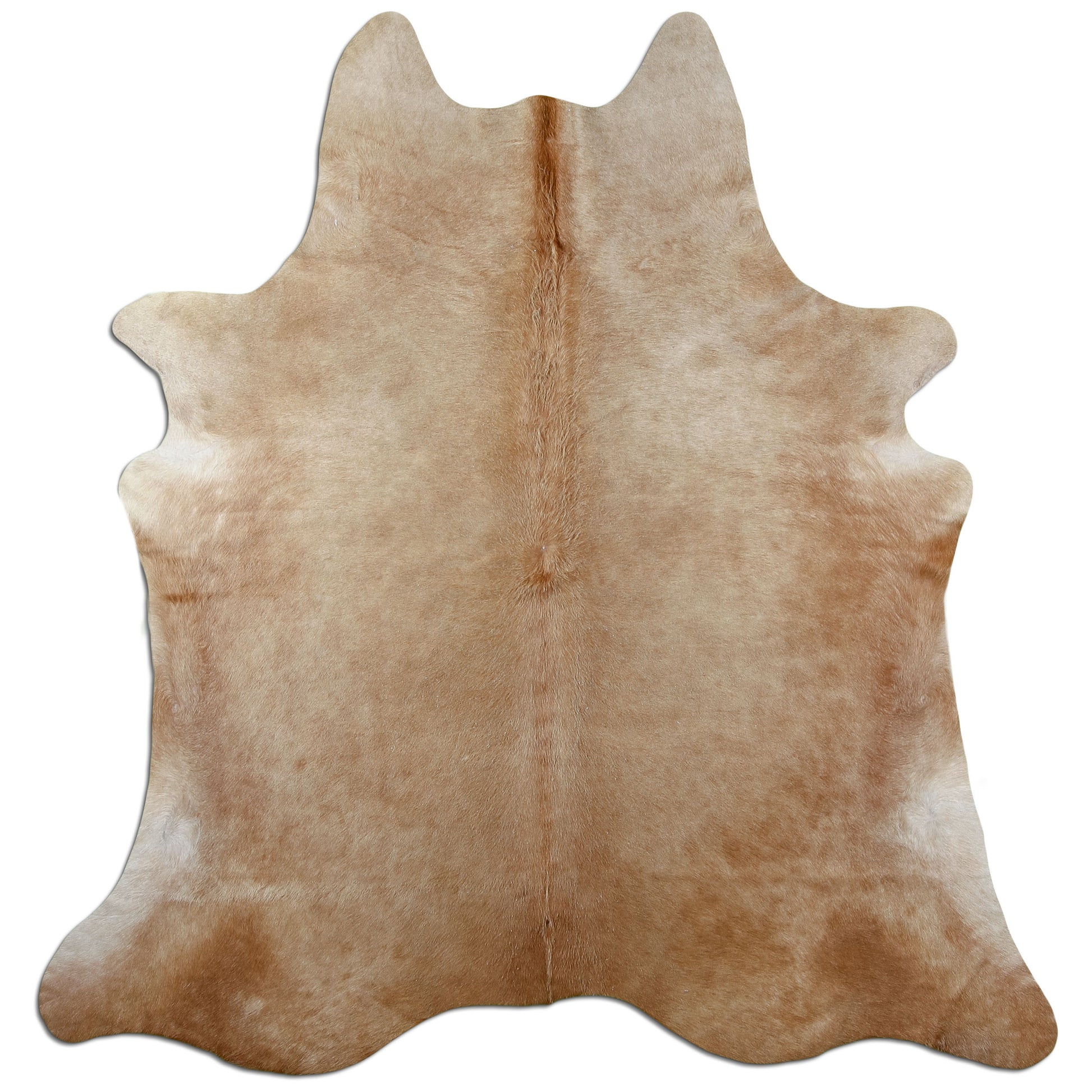 Kuhfell Teppich Karamell, 210 × 188 cm – Naturprodukt, Einzelstück