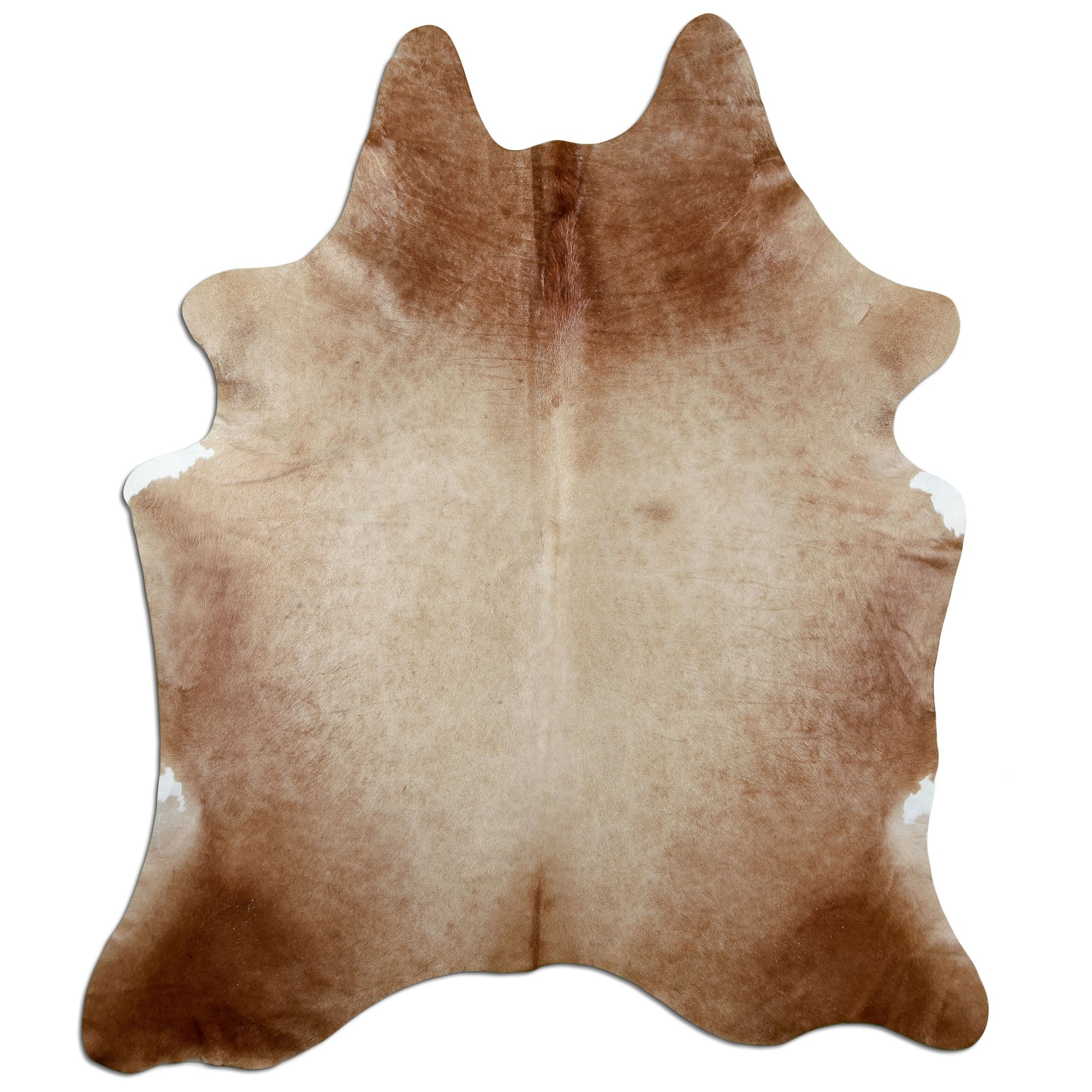Kuhfell Teppich Karamell, 227 × 187 cm – Naturprodukt, Einzelstück