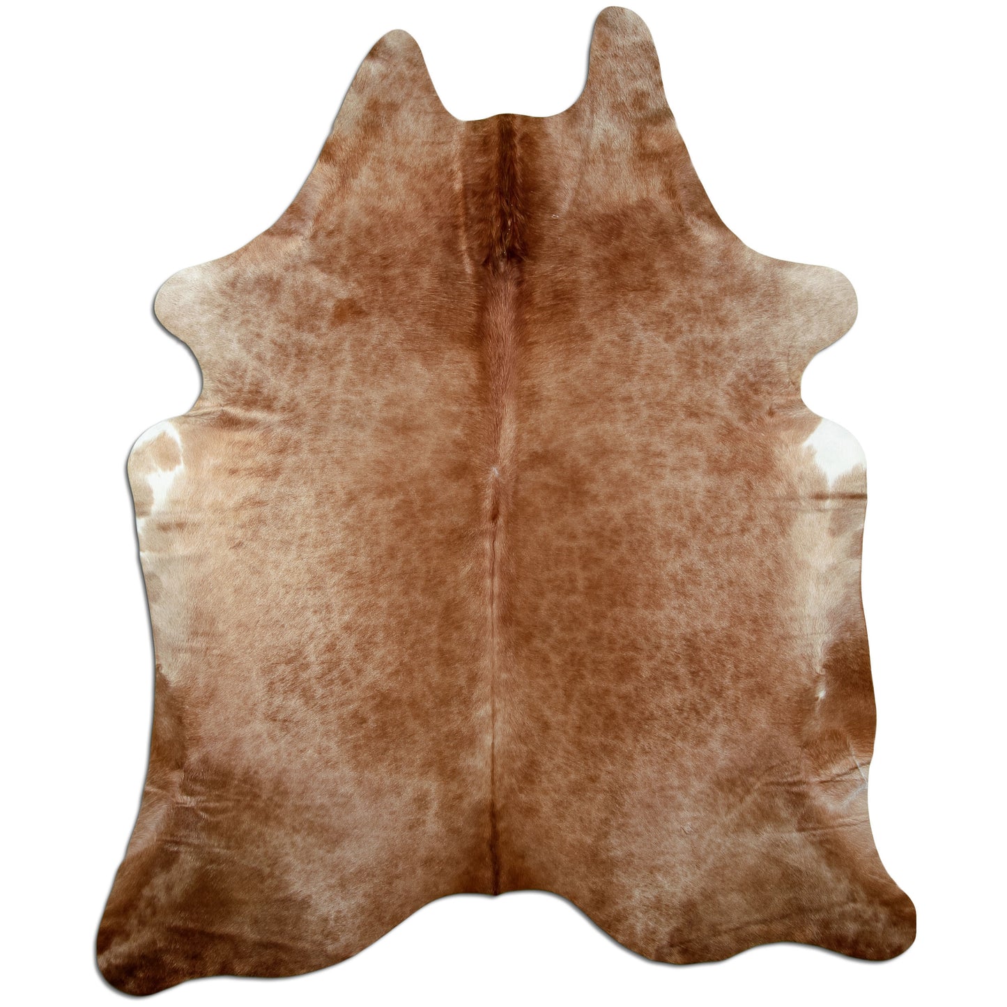 Kuhfell Teppich Karamell, 245 × 198 cm – Naturprodukt, Einzelstück