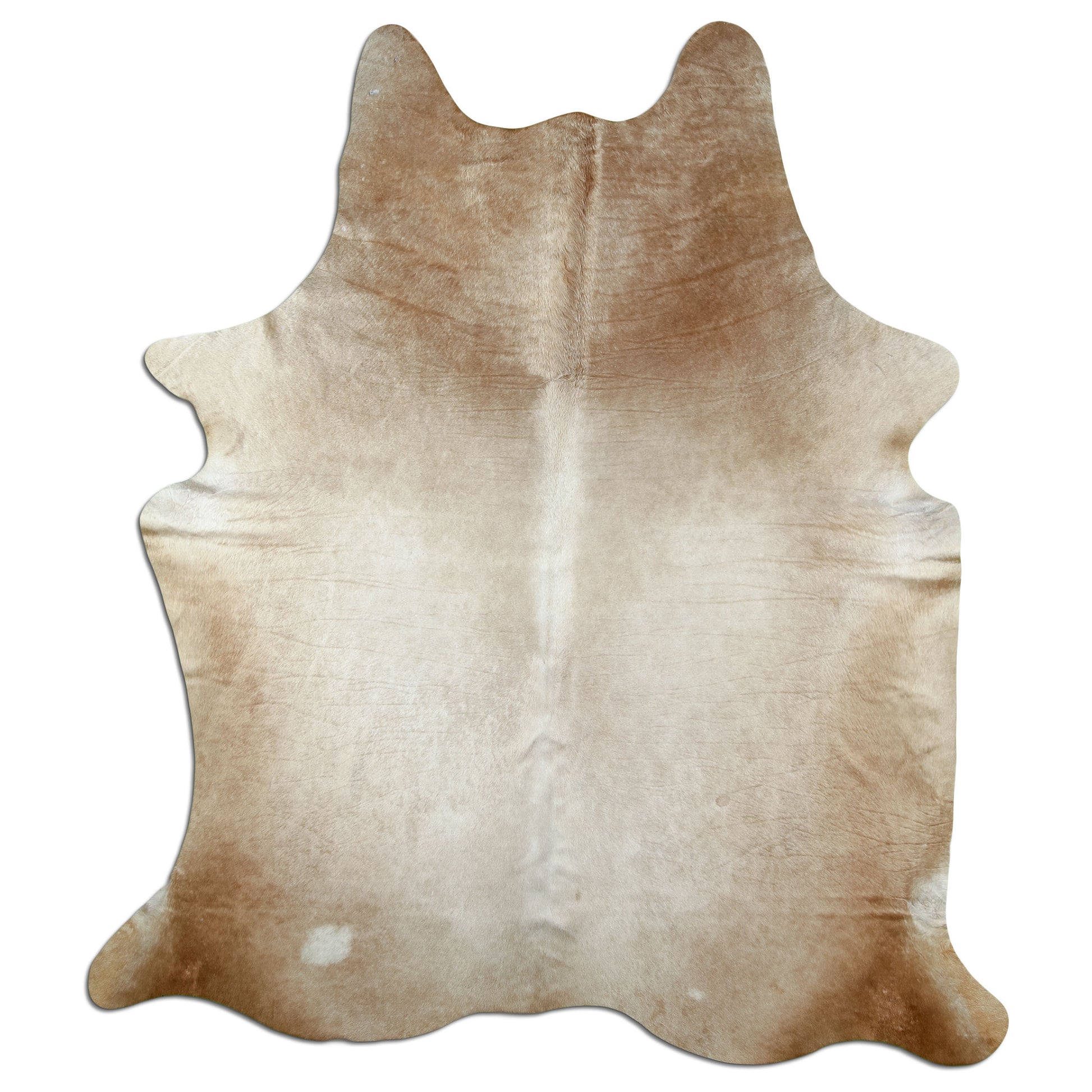 Kuhfell Teppich Beige, 213 × 182 cm – Naturprodukt, Einzelstück