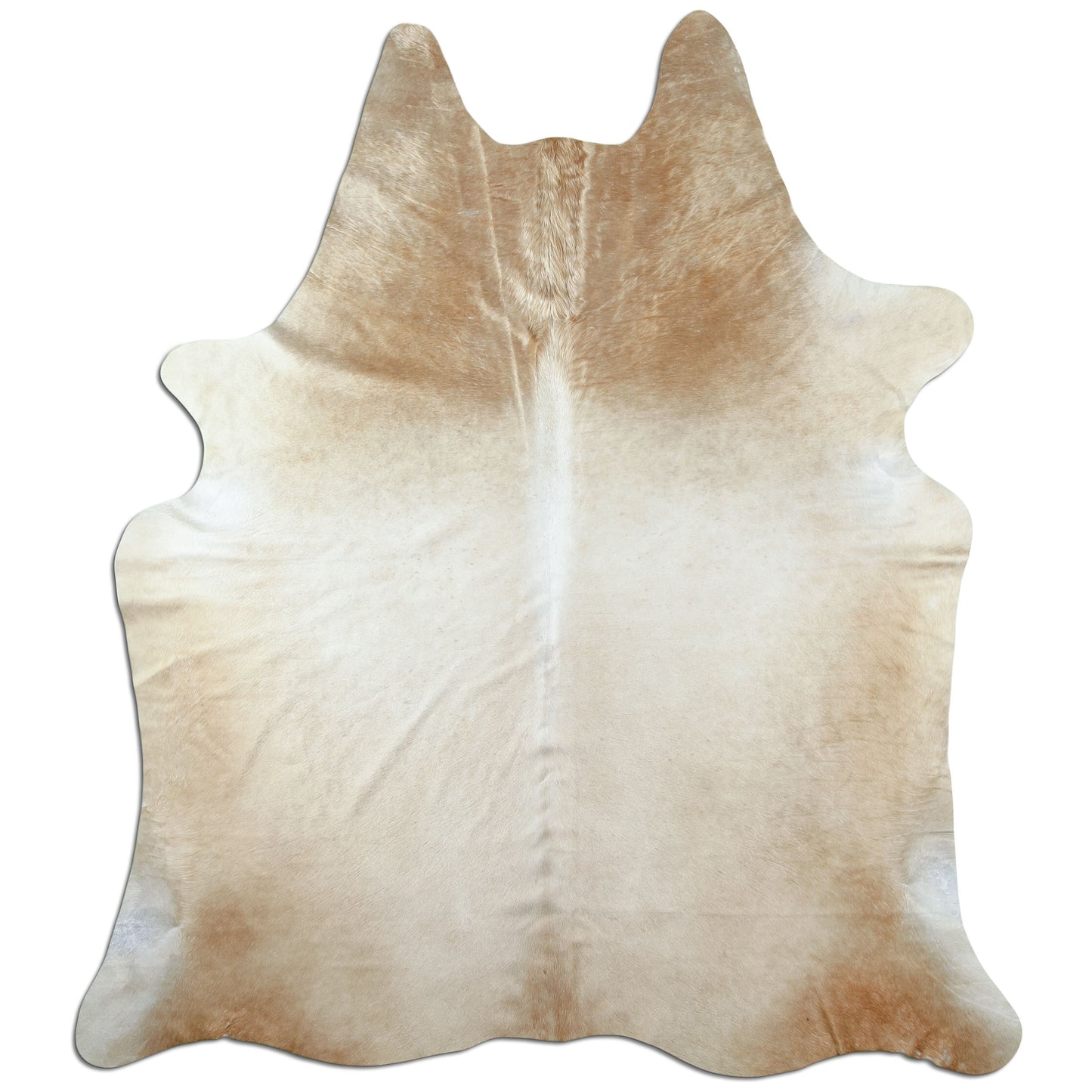 Kuhfell Teppich Beige, 215 × 187 cm – Naturprodukt, Einzelstück