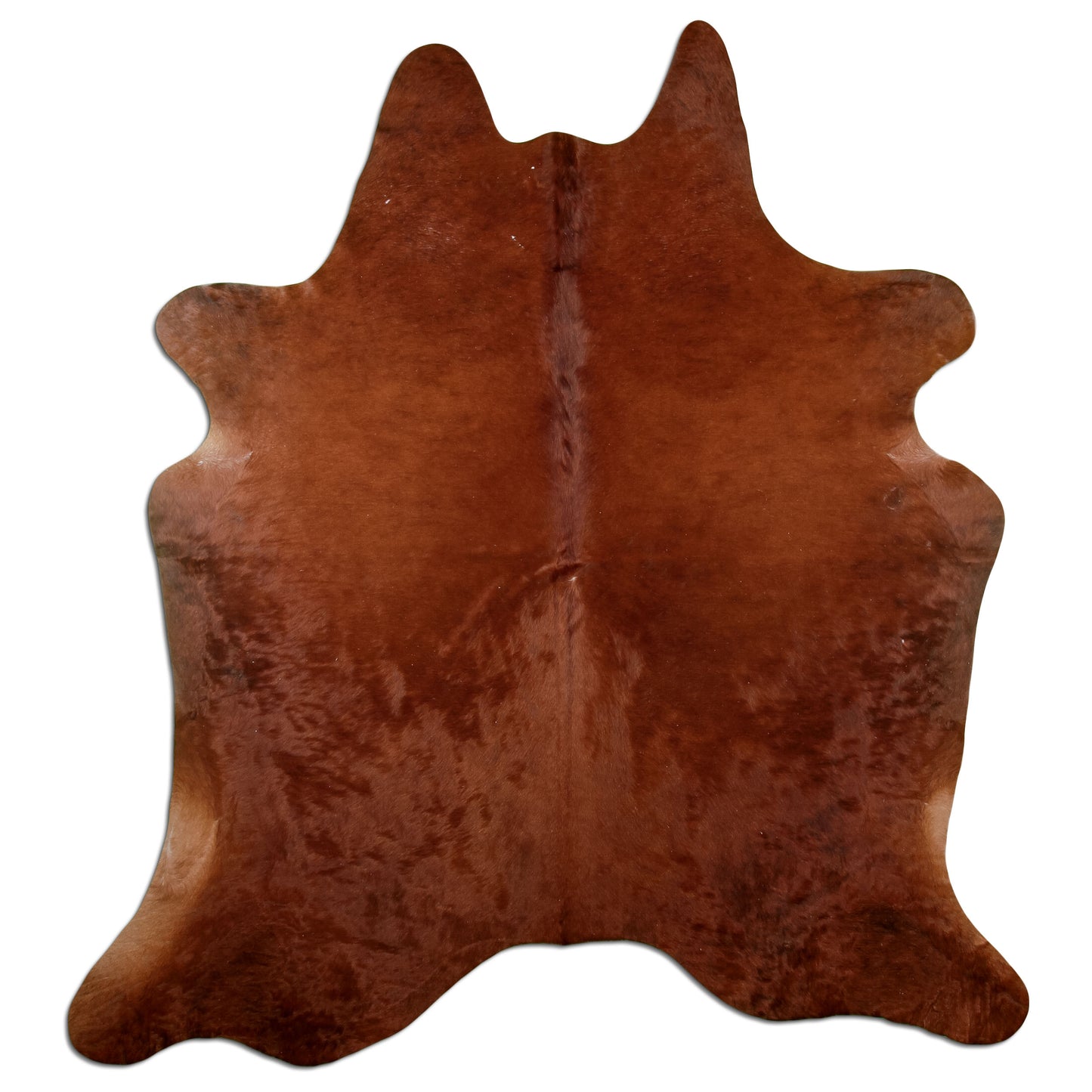 Kuhfell Teppich Braun, 210 × 184 cm – Naturprodukt, Einzelstück