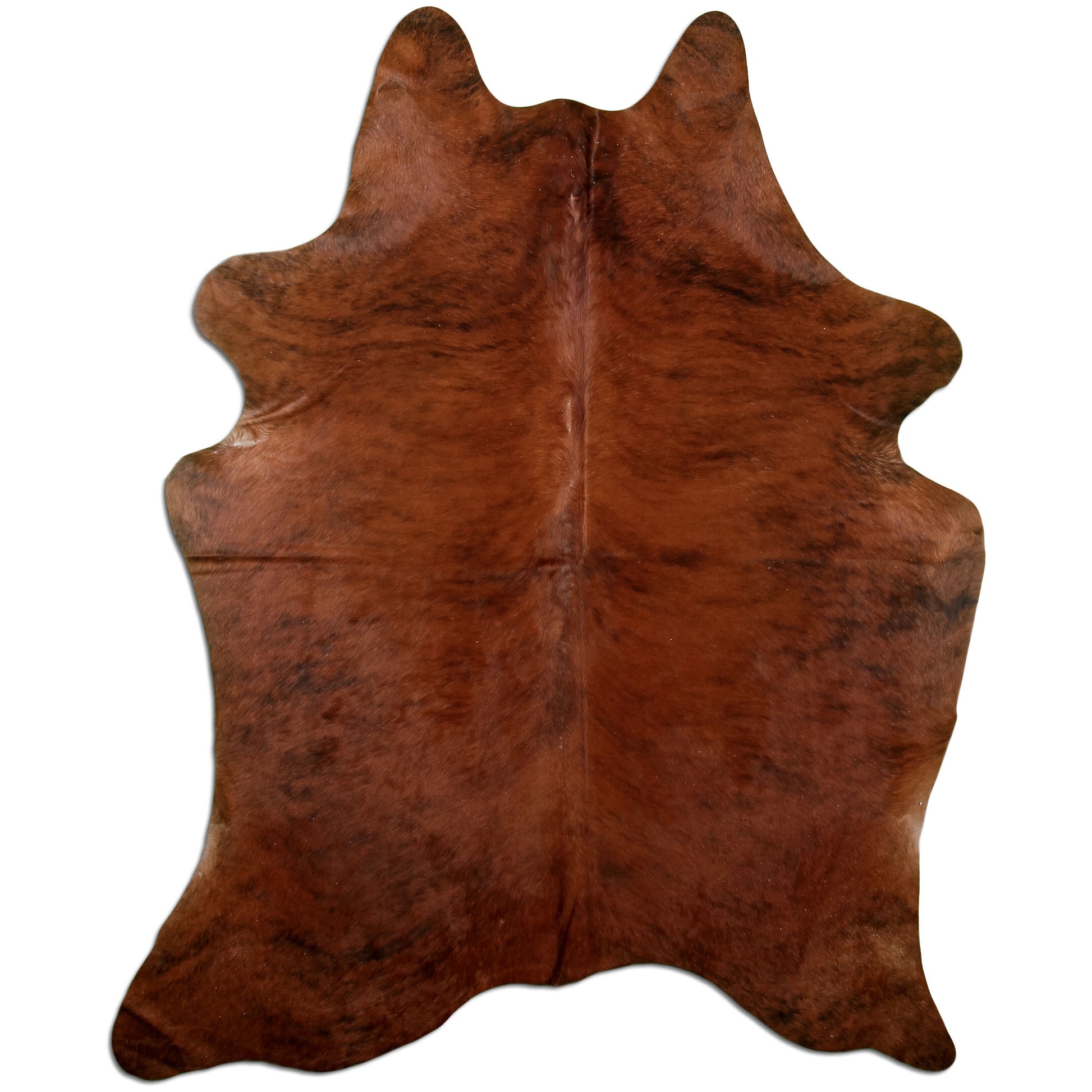 Kuhfell Teppich Medium Brindle, 212 × 160 cm – Naturprodukt, Einzelstück