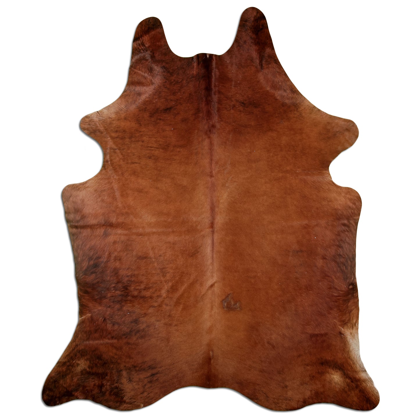 Kuhfell Teppich Braun, 236 × 186 cm – Naturprodukt, Einzelstück