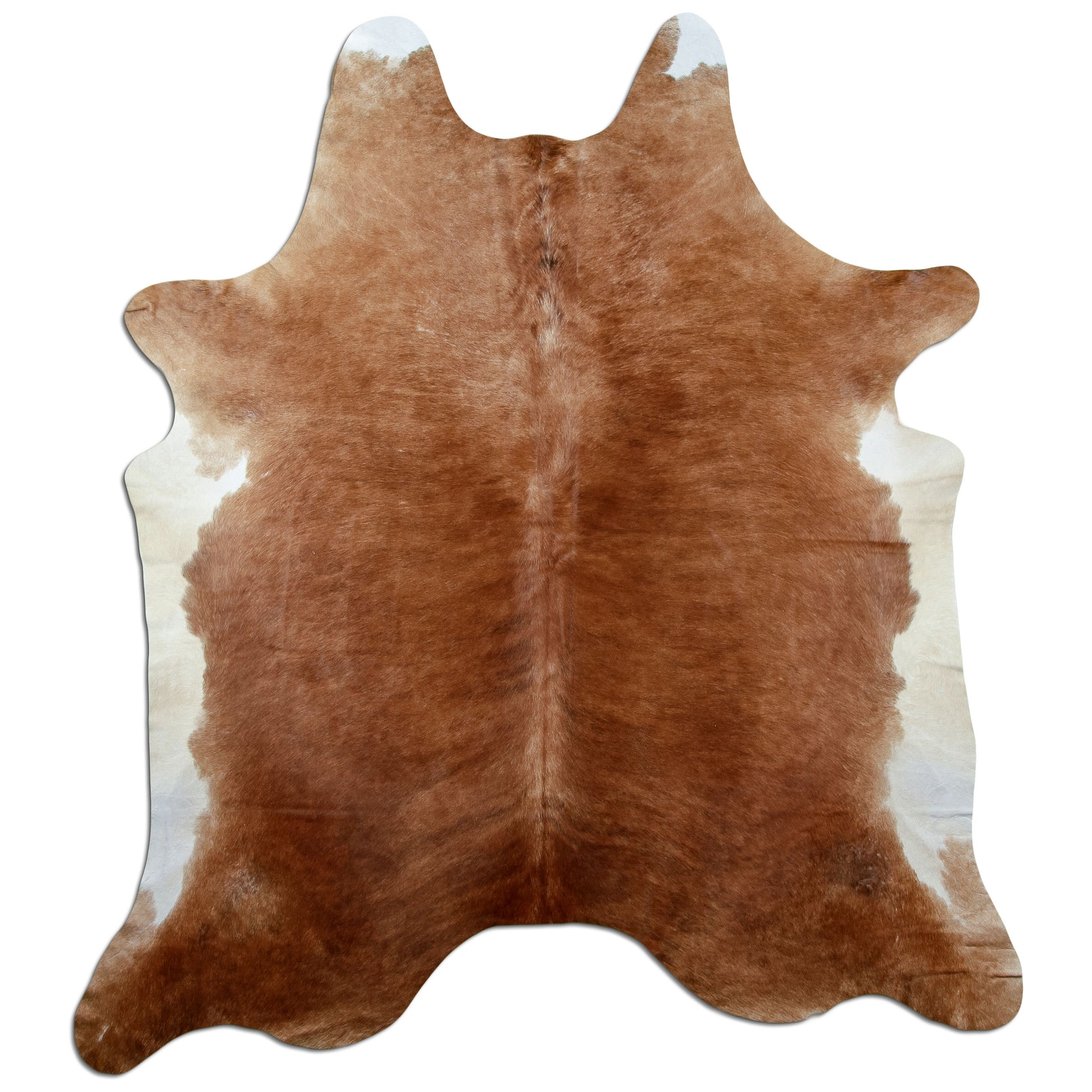 Kuhfell Teppich Braun, 232 × 202 cm – Naturprodukt, Einzelstück