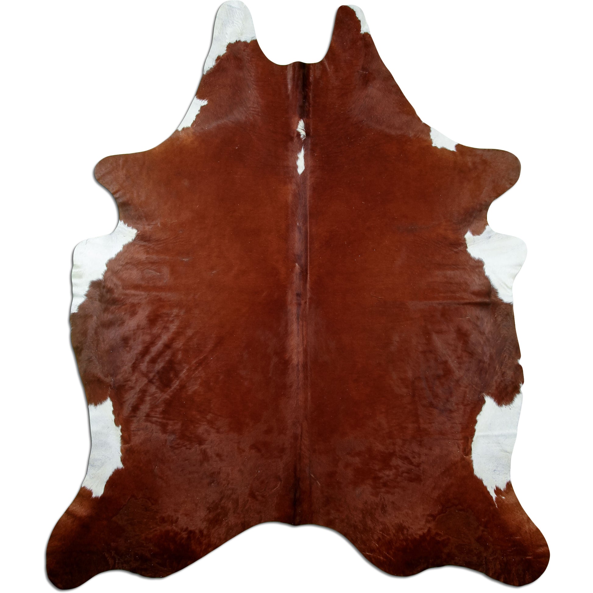 Kuhfell Teppich Hereford, 239 × 195 cm – Naturprodukt, Einzelstück