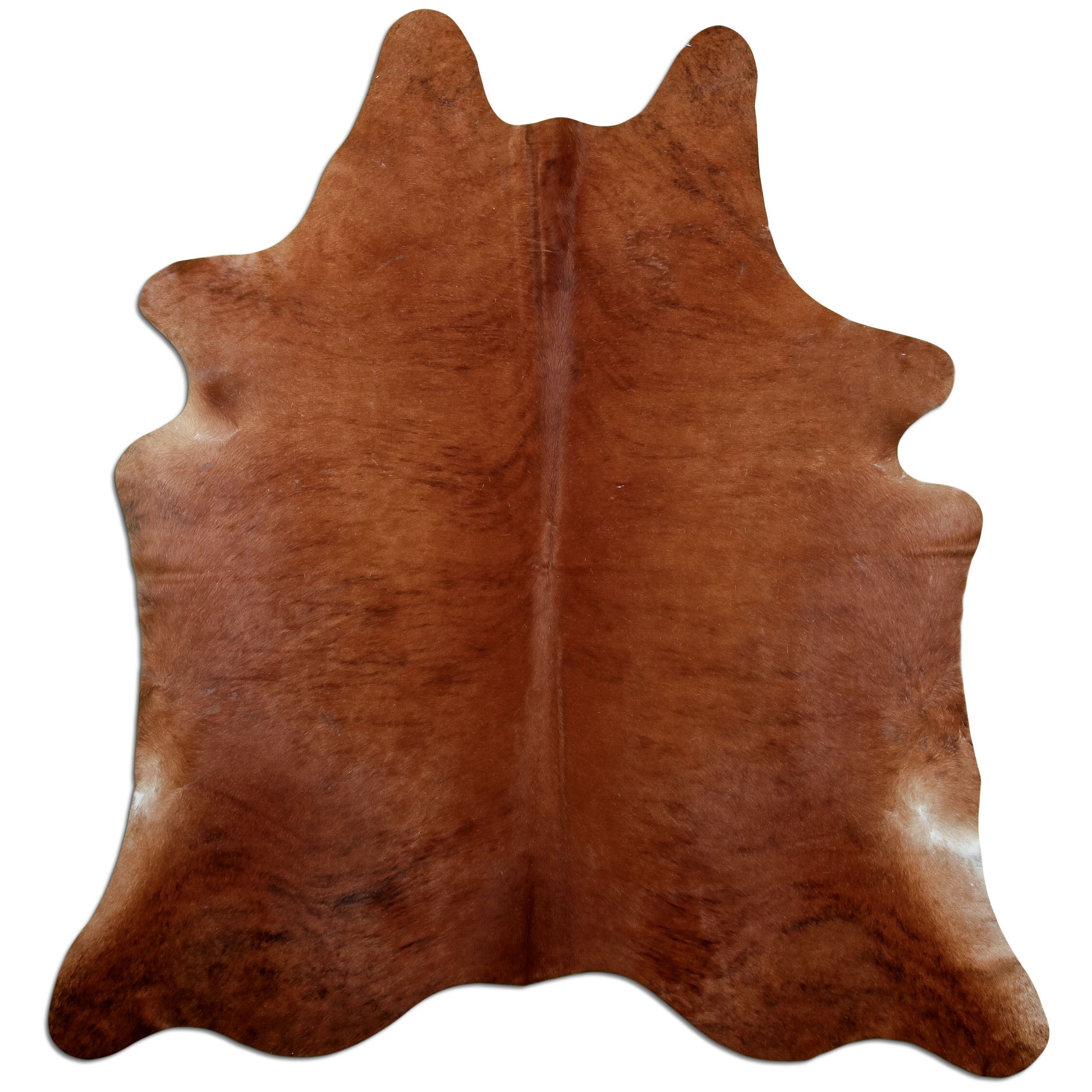 Kuhfell Teppich Medium Brindle, 224 × 198 cm – Naturprodukt, Einzelstück