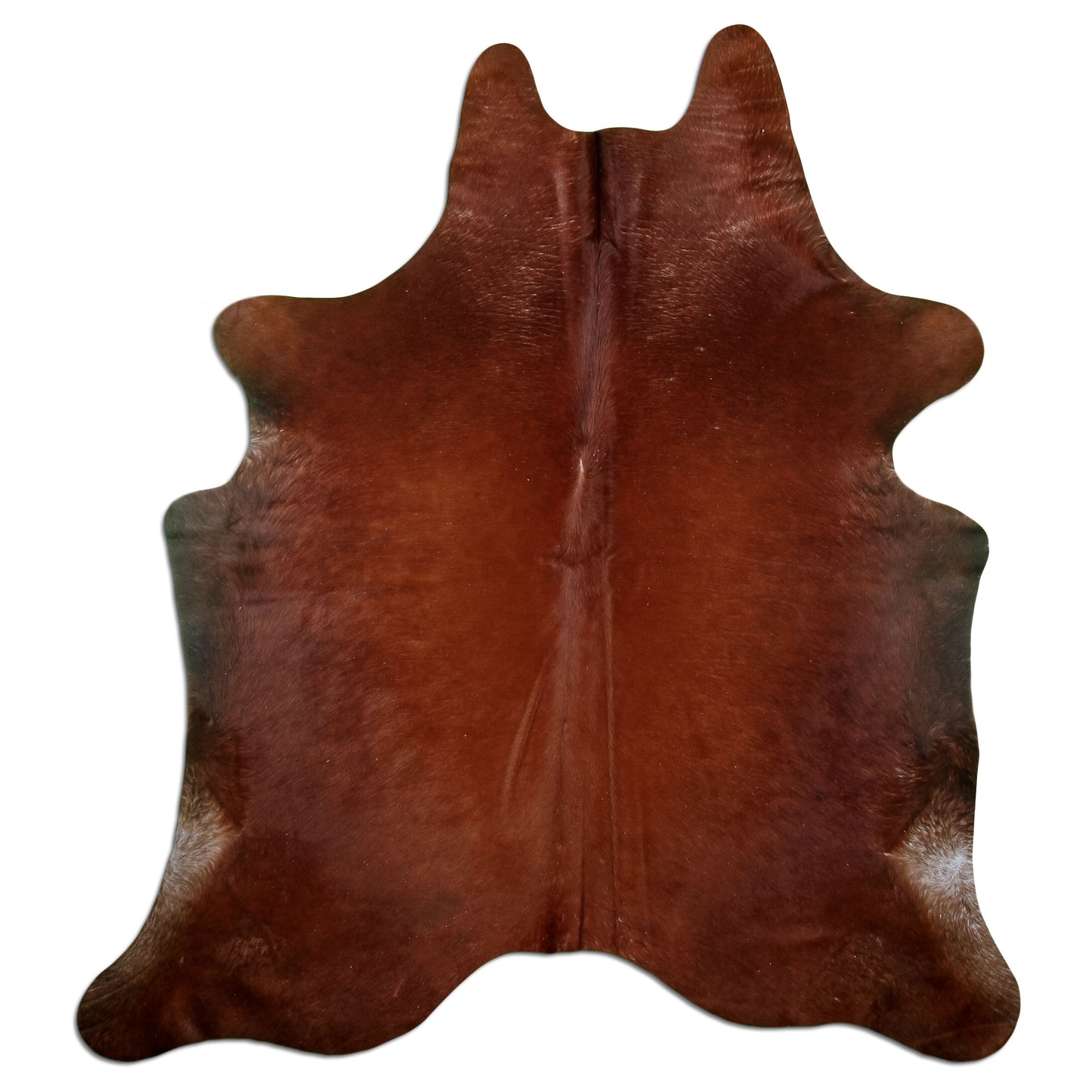 Kuhfell Teppich Braun, 209 × 182 cm – Naturprodukt, Einzelstück