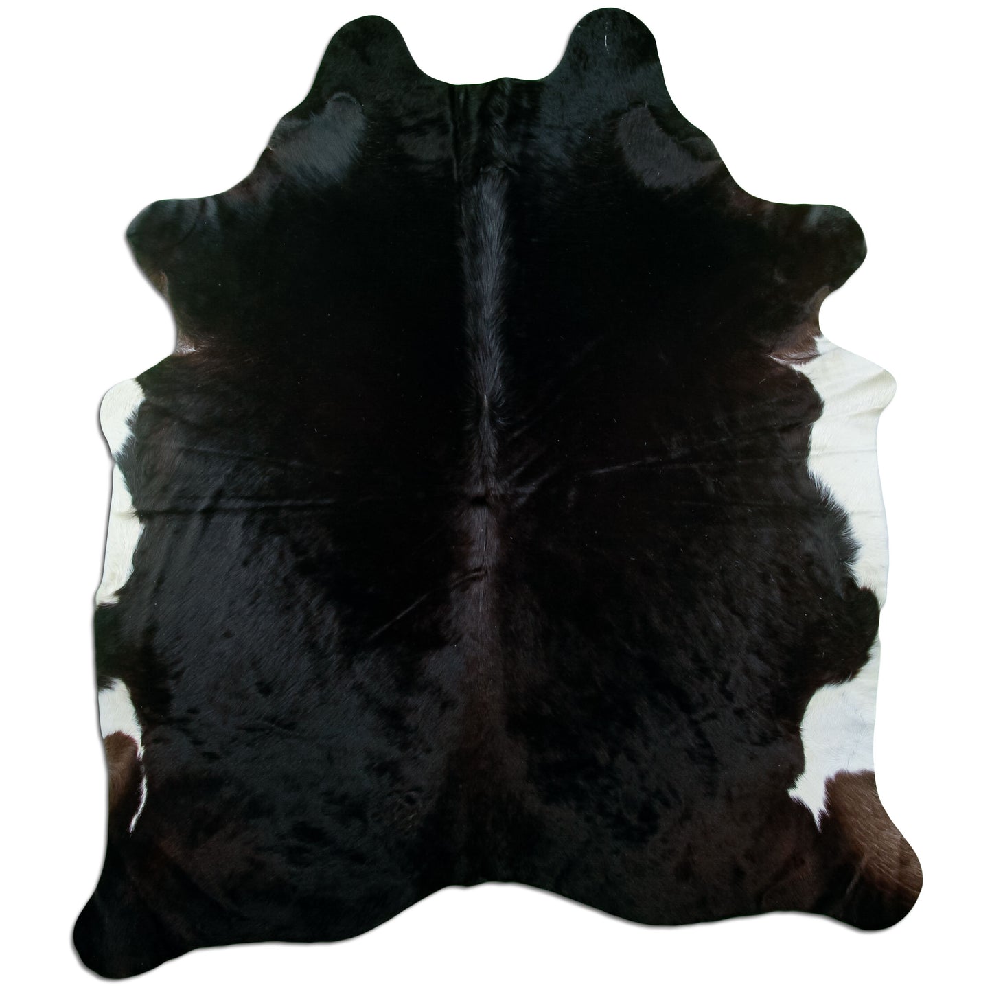 Kuhfell Teppich Schwarz, 215 × 182 cm – Naturprodukt, Einzelstück