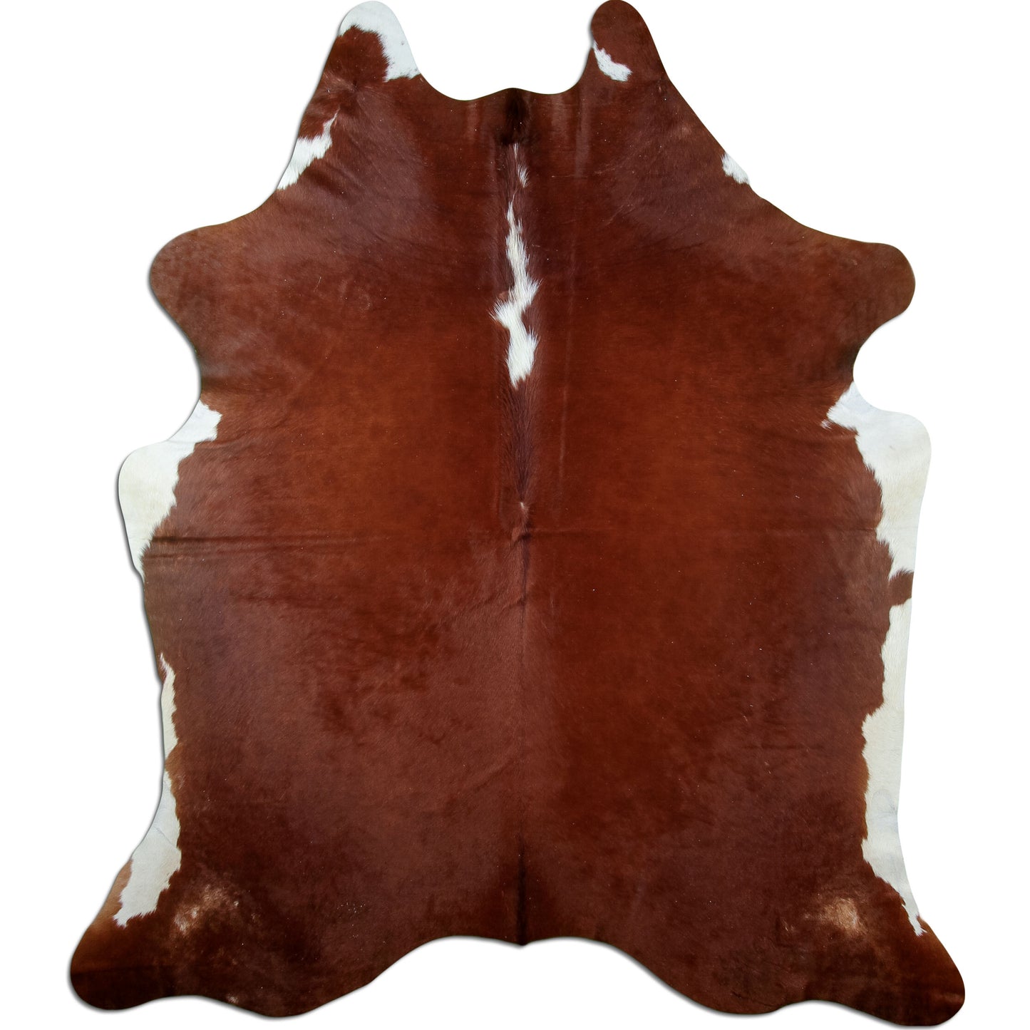 Kuhfell Teppich Hereford, 220 × 189 cm – Naturprodukt, Einzelstück