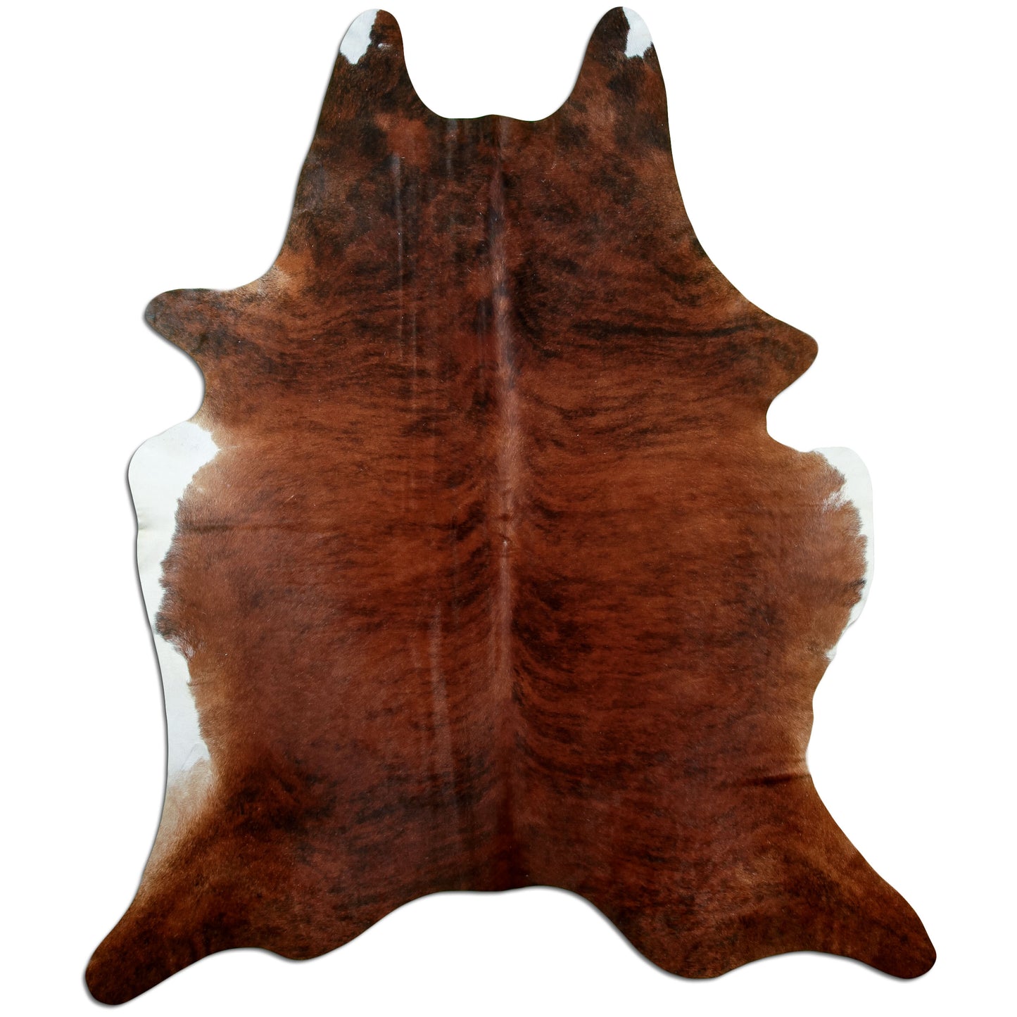 Kuhfell Teppich Medium Brindle, 230 × 187 cm – Naturprodukt, Einzelstück