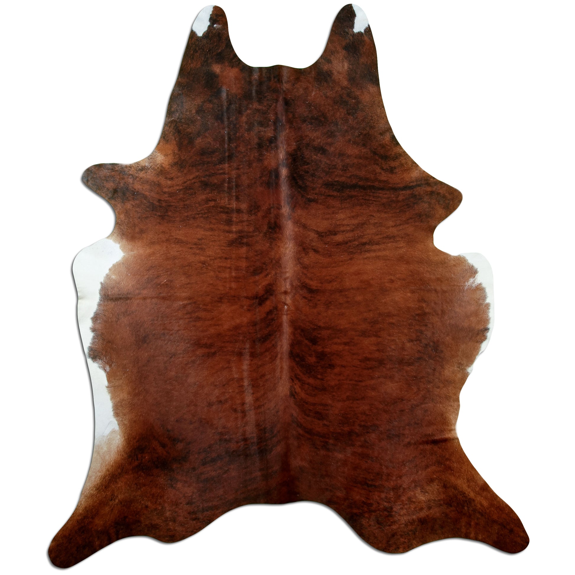 Kuhfell Teppich Medium Brindle, 230 × 187 cm – Naturprodukt, Einzelstück