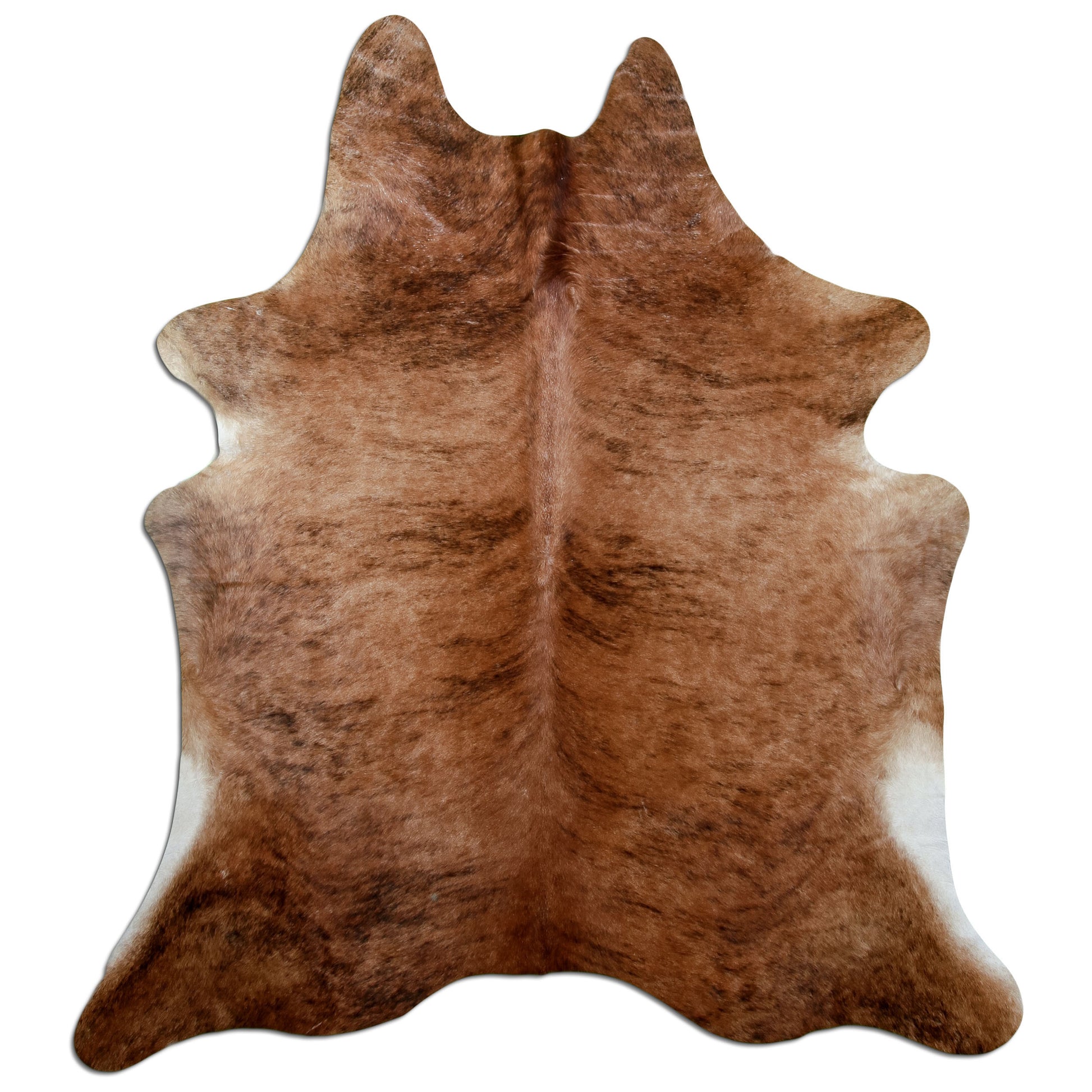 Kuhfell Teppich Medium Brindle, 210 × 181 cm – Naturprodukt, Einzelstück