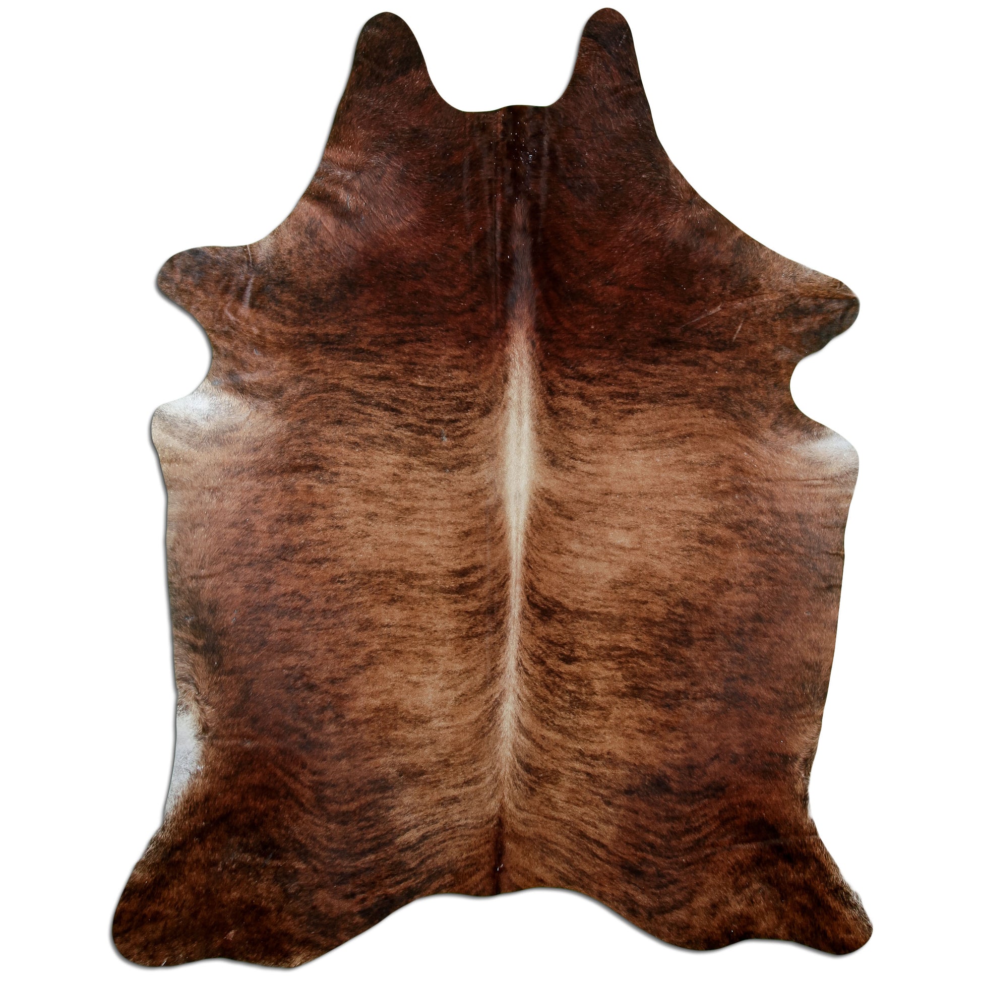 Kuhfell Teppich Medium Brindle, 237 × 180 cm – Naturprodukt, Einzelstück