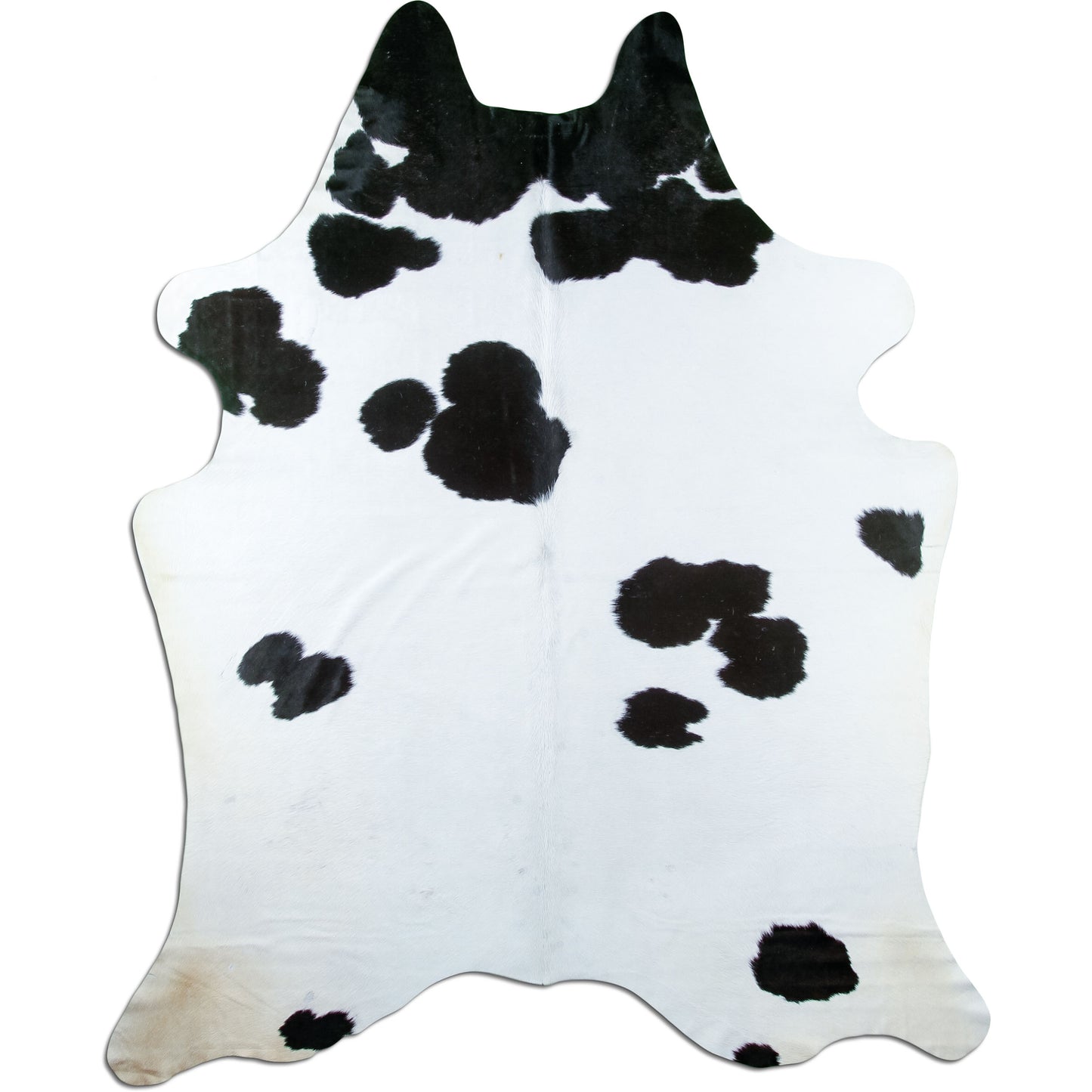 Kuhfell Teppich Schwarz-Weiß, 237 × 181 cm – Naturprodukt, Einzelstück