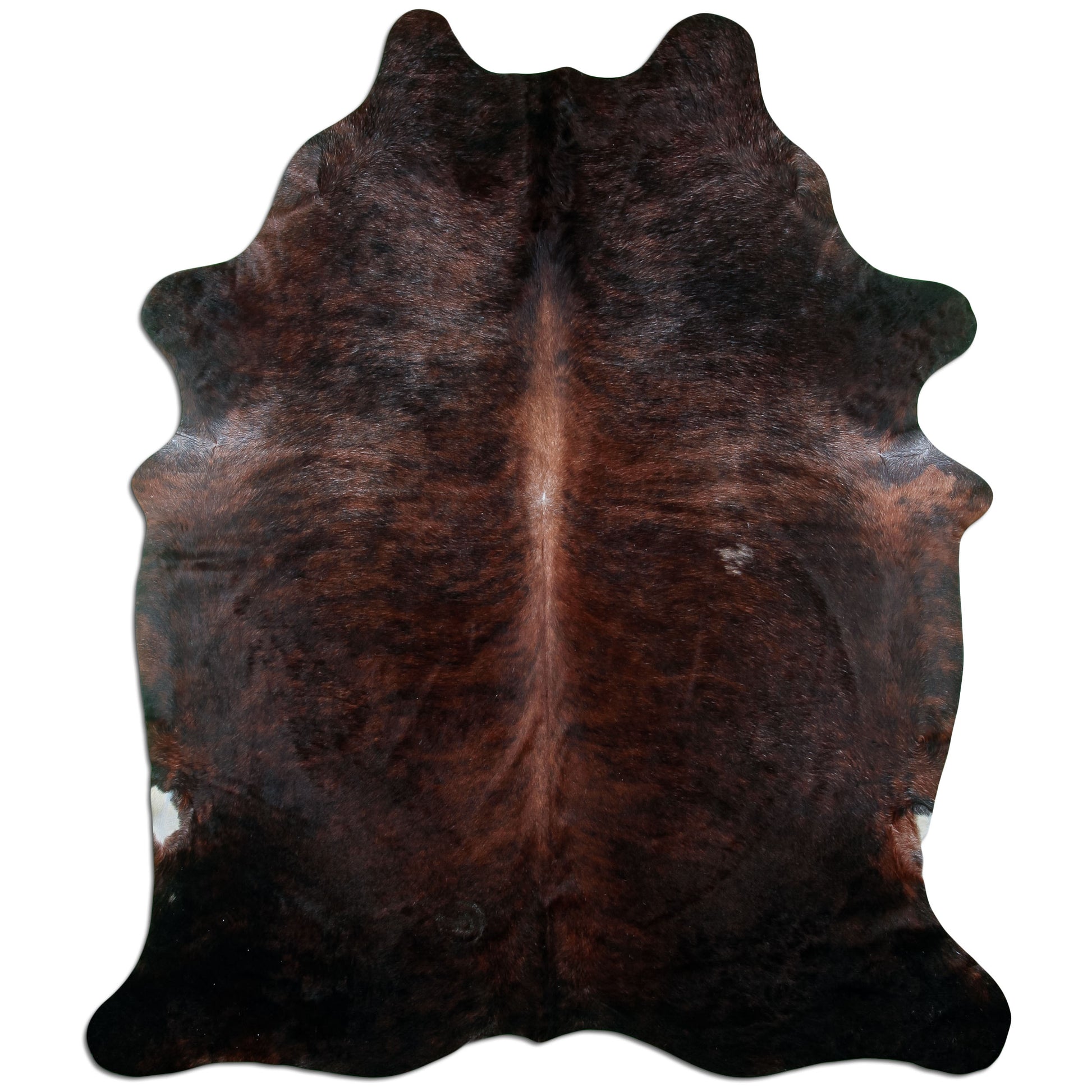 Kuhfell Teppich Dark Brindle, 243 × 200 cm – Naturprodukt, Einzelstück