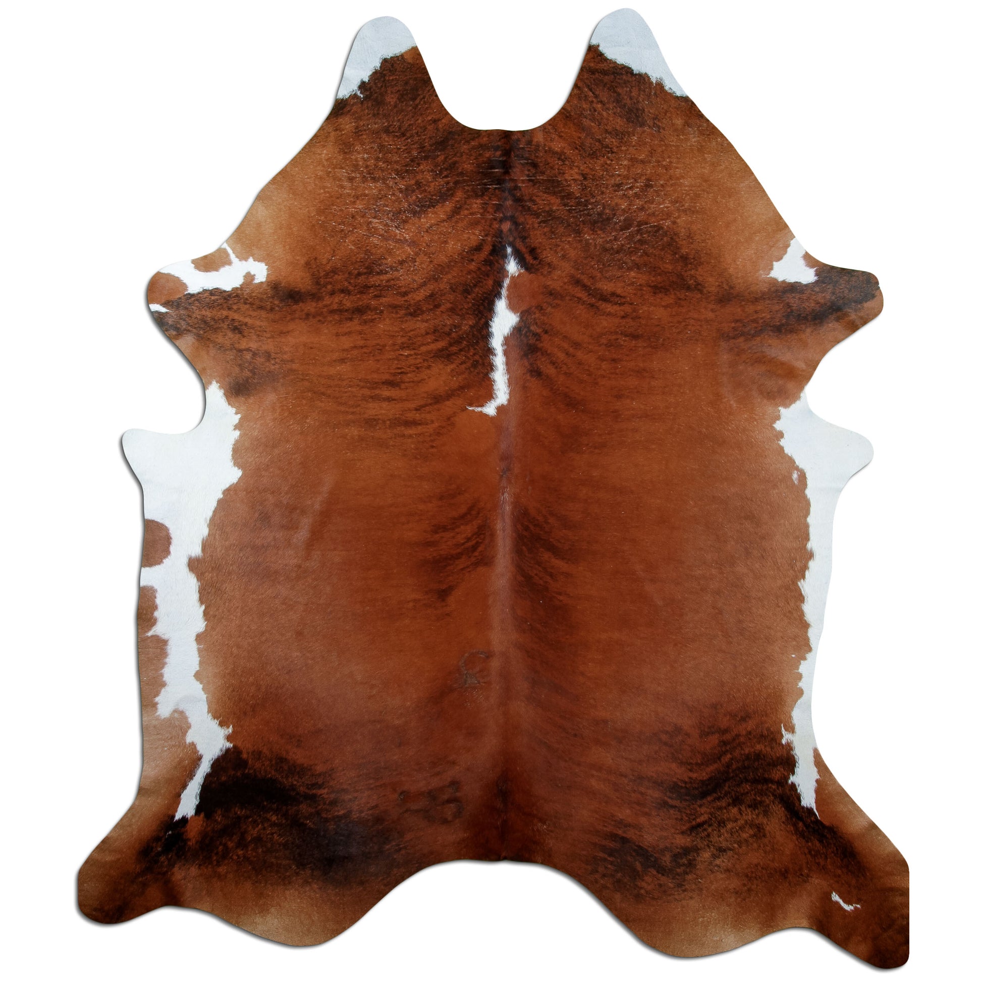 Kuhfell Teppich Exotic White Belly Backbone, 265 × 230 cm – Naturprodukt, Einzelstück