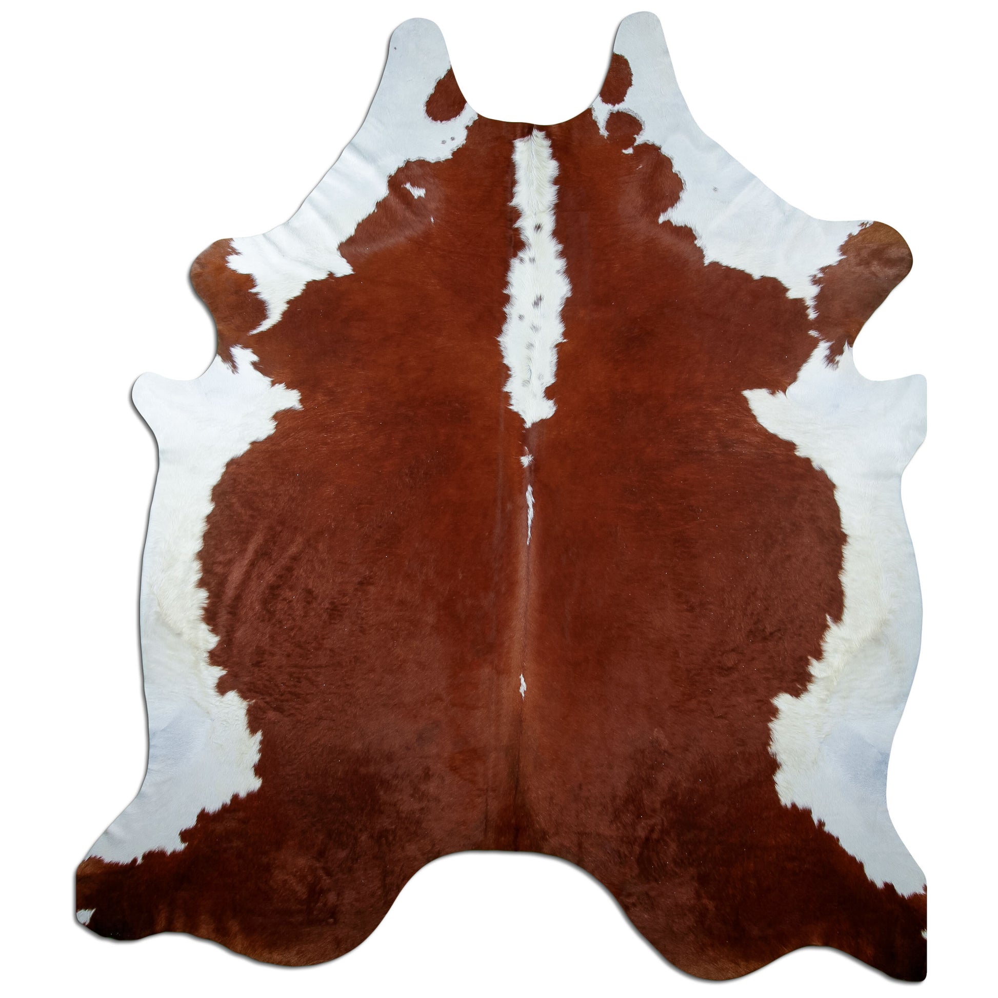 Kuhfell Teppich Hereford, 240 × 210 cm – Naturprodukt, Einzelstück