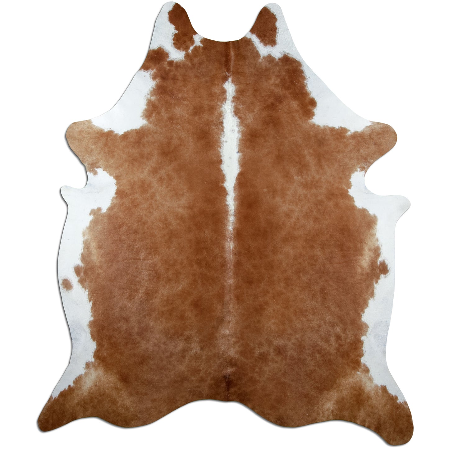 Kuhfell Teppich Hereford, 240 × 200 cm – Naturprodukt, Einzelstück