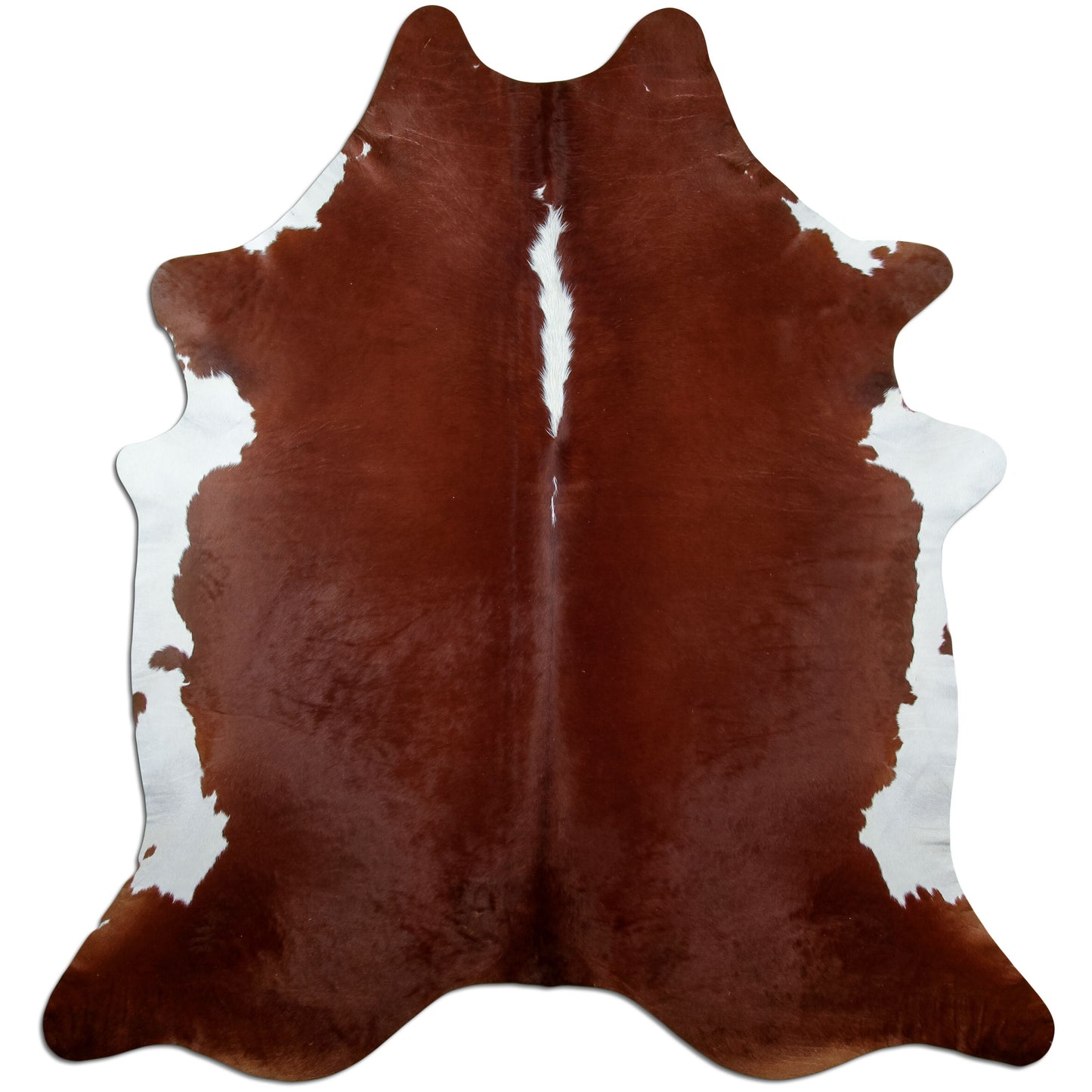 Kuhfell Teppich Hereford, 210 × 210 cm – Naturprodukt, Einzelstück