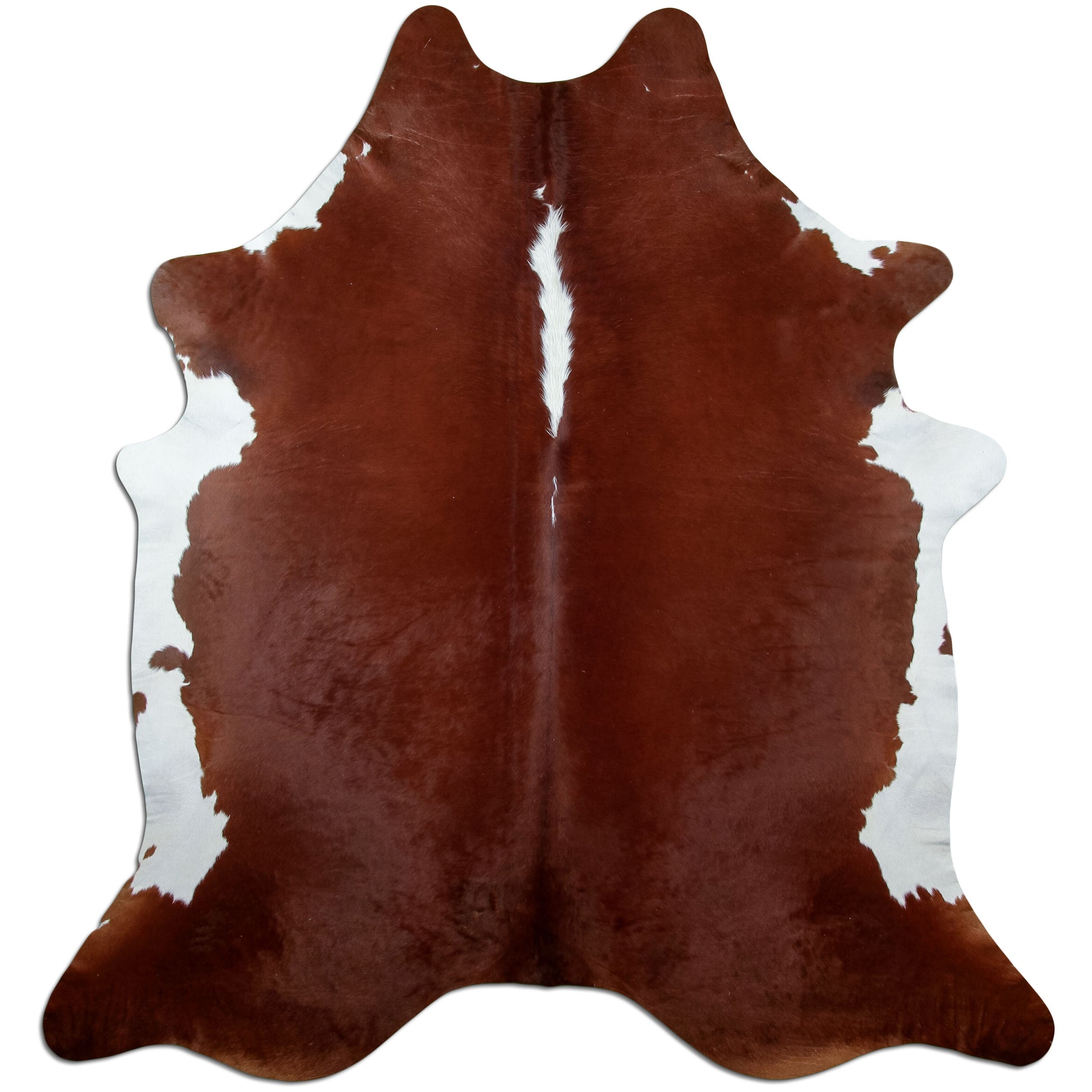Kuhfell Teppich Hereford, 210 × 210 cm – Naturprodukt, Einzelstück