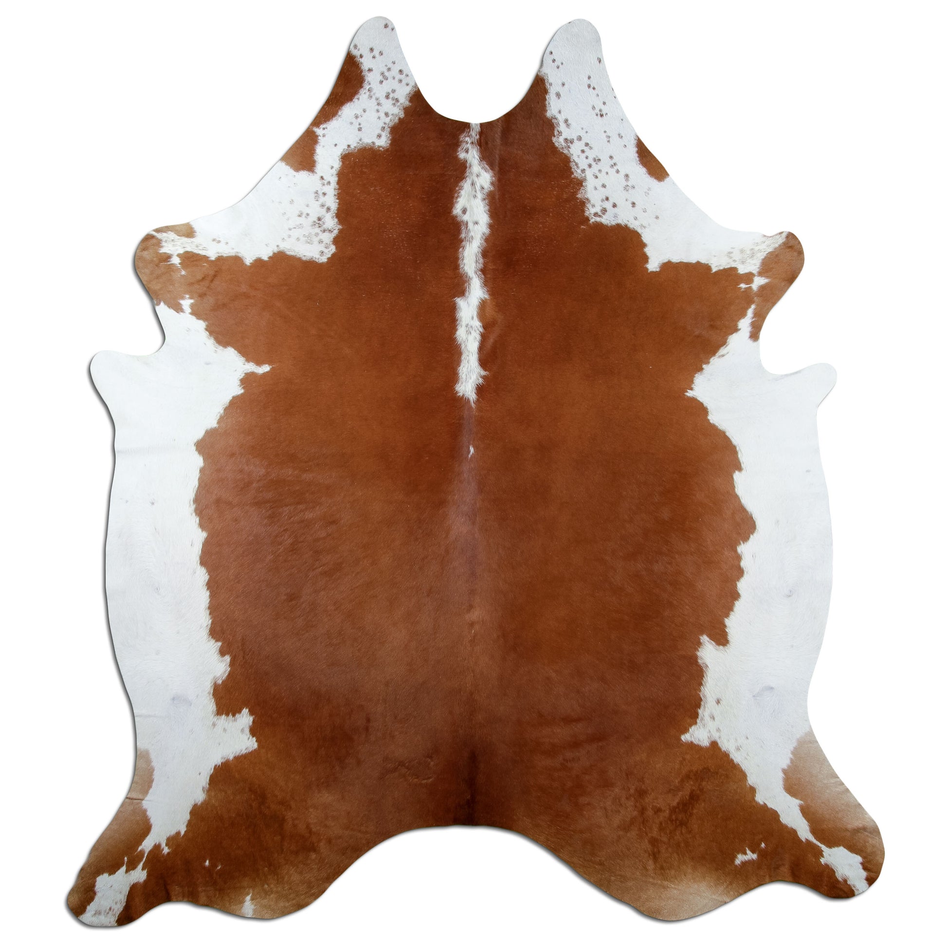 Kuhfell Teppich Hereford, 210 × 200 cm – Naturprodukt, Einzelstück
