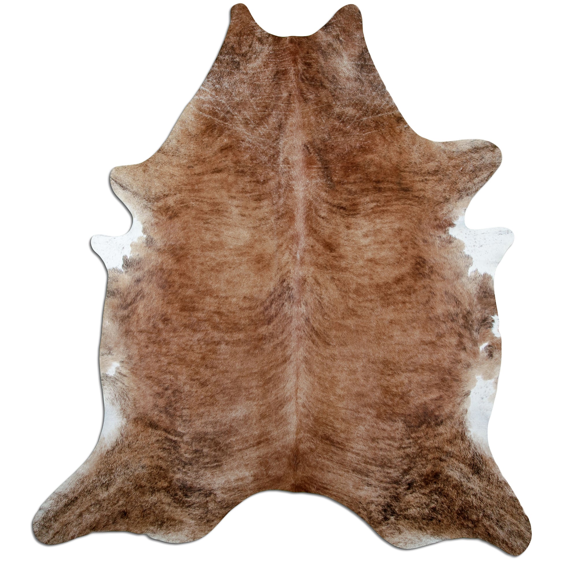 Kuhfell Teppich Beige Brindle, 238 × 210 cm – Naturprodukt, Einzelstück