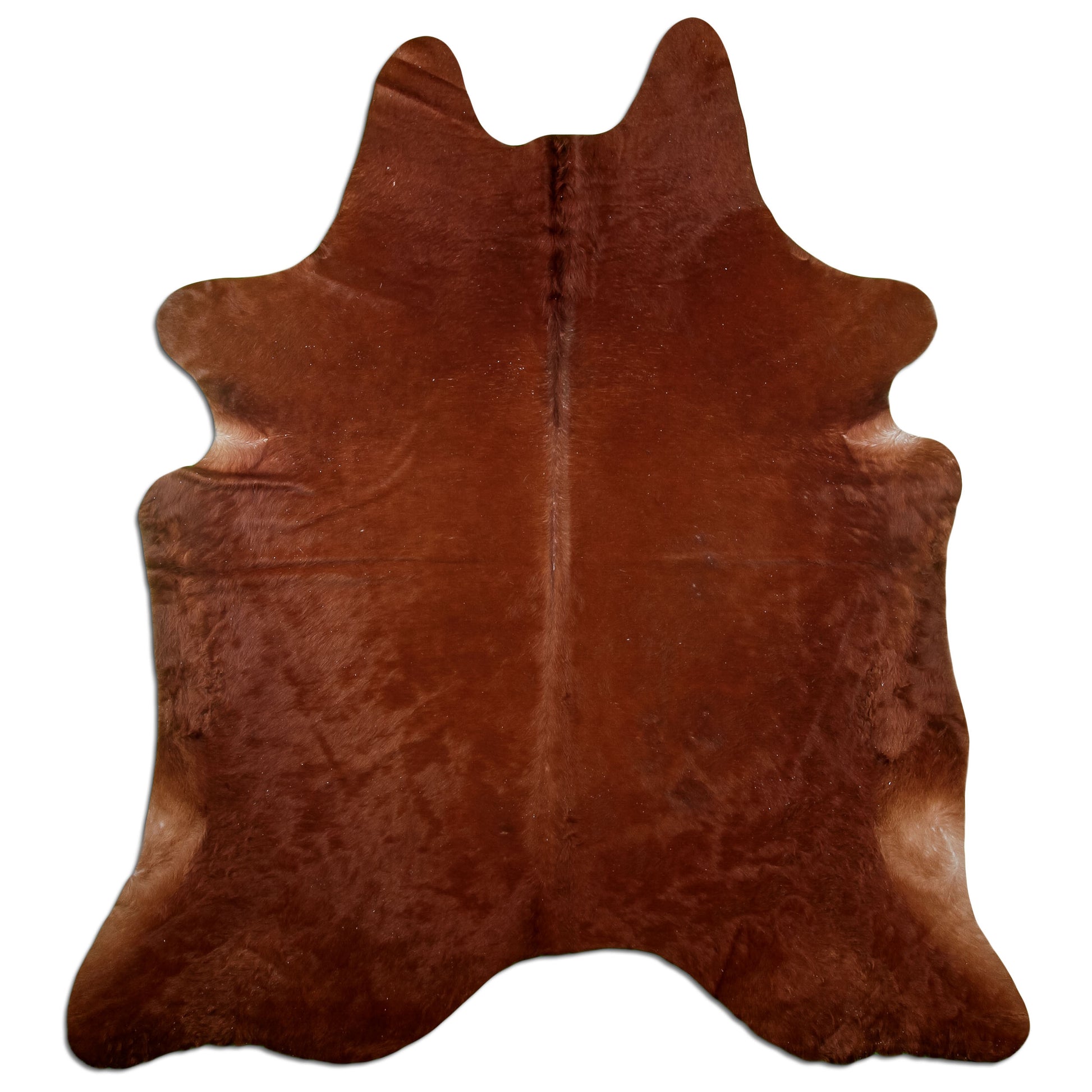 Kuhfell Teppich Braun, 210 × 185 cm – Naturprodukt, Einzelstück