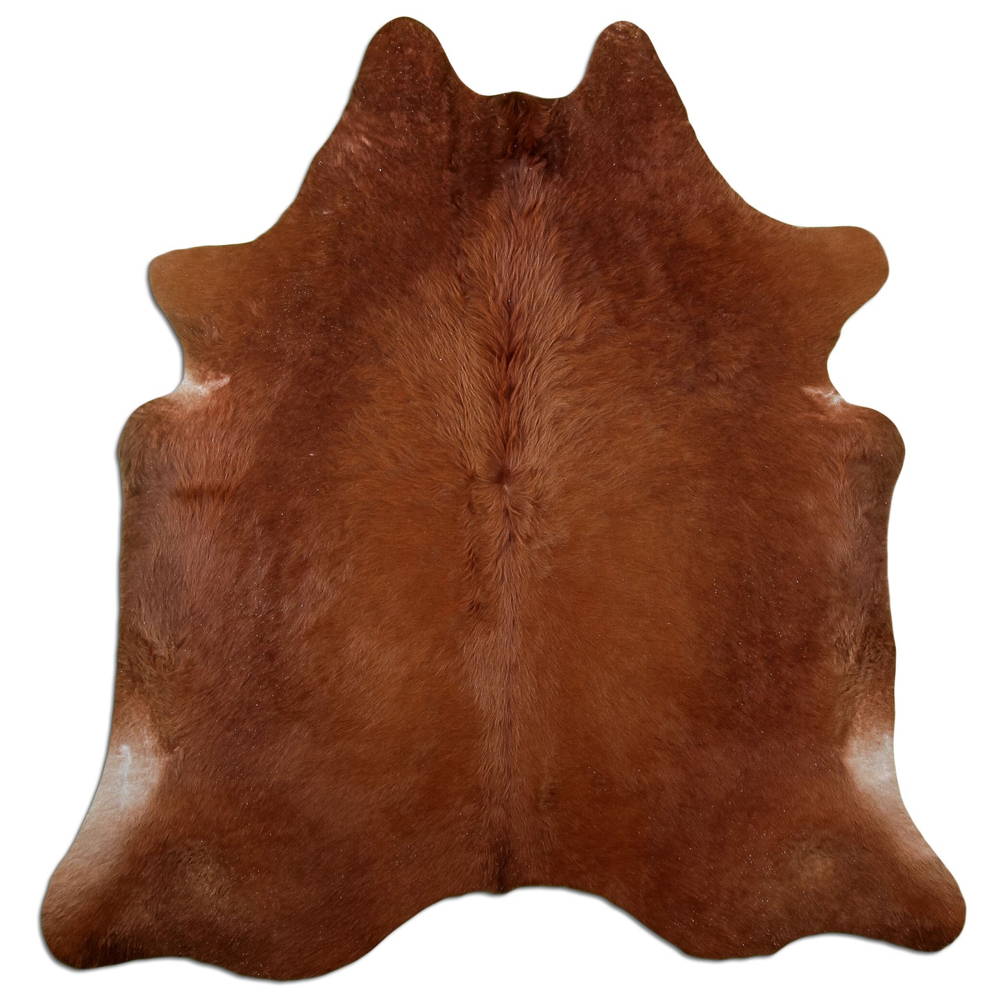 Kuhfell Teppich Braun, 200 × 180 cm – Naturprodukt, Einzelstück