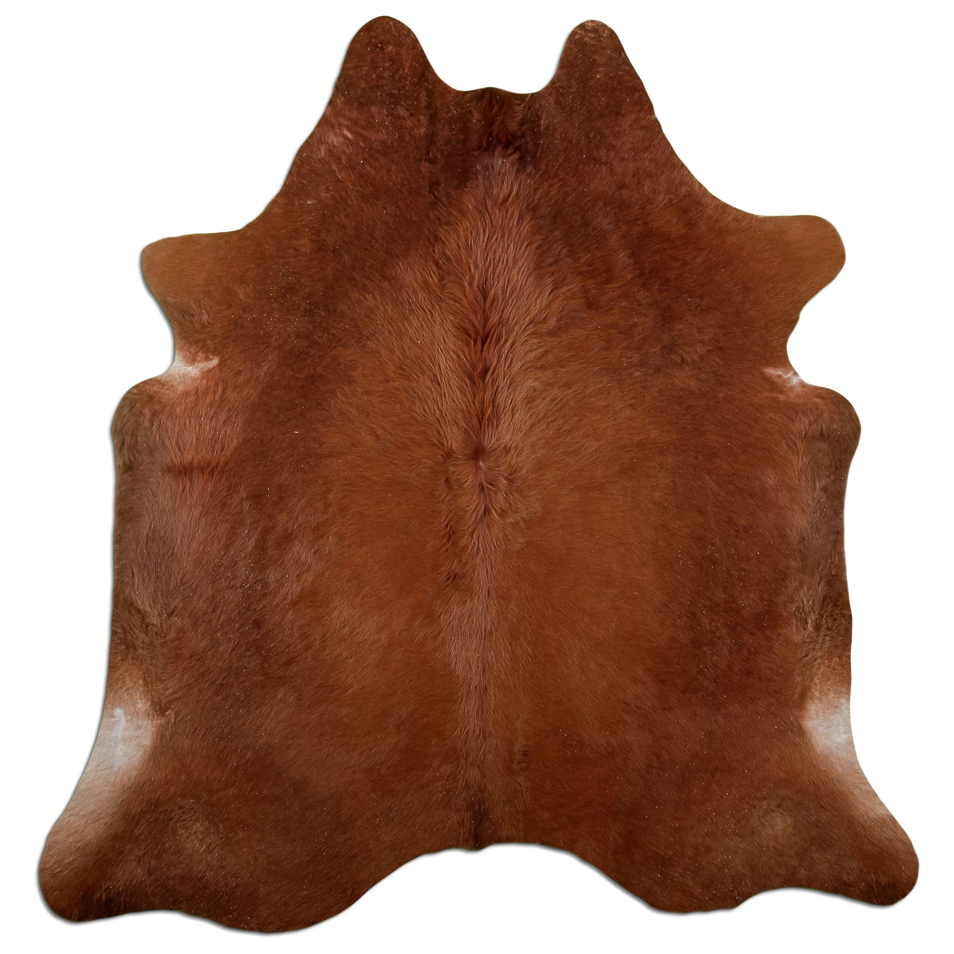Kuhfell Teppich Braun, 200 × 180 cm – Naturprodukt, Einzelstück