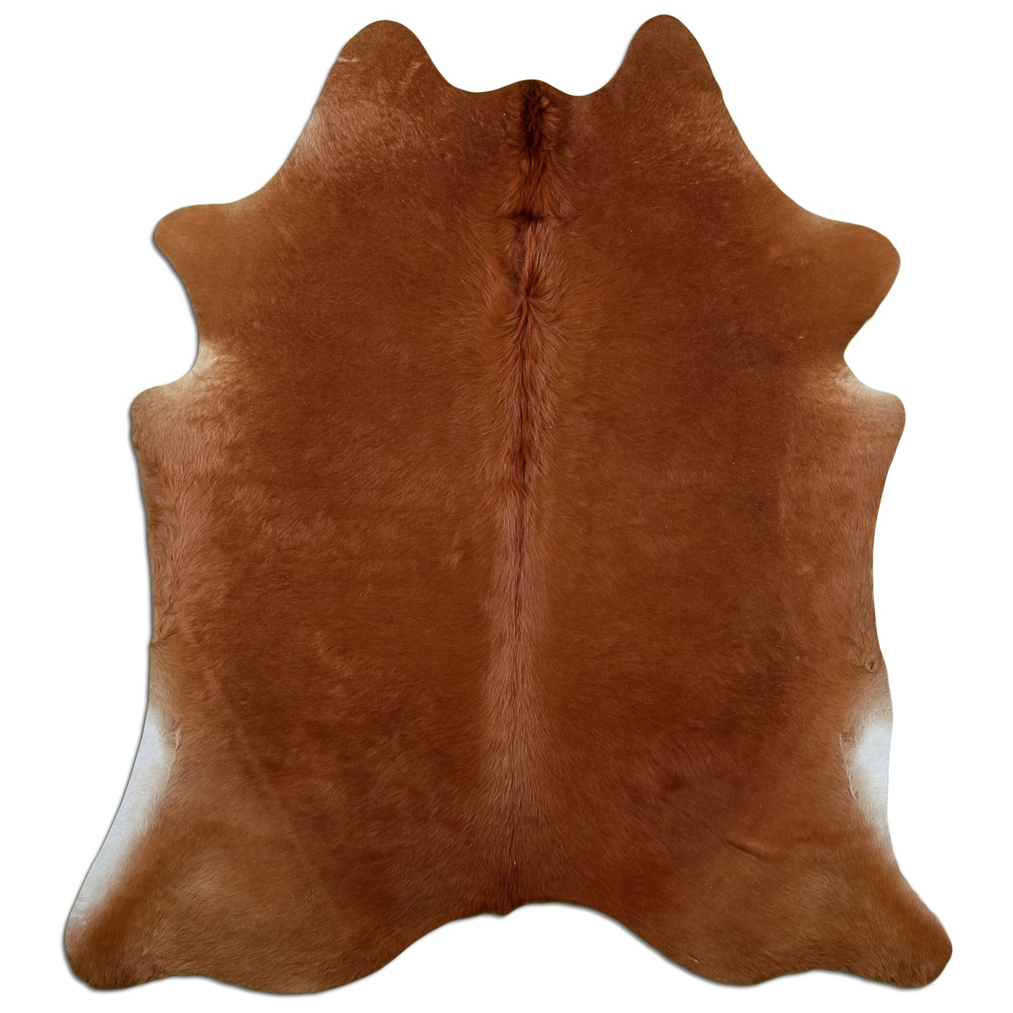 Kuhfell Teppich Braun, 208 × 180 cm – Naturprodukt, Einzelstück