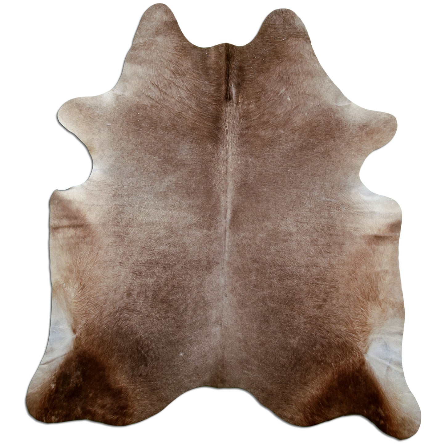 Kuhfell Teppich Dark Champagne, 210 × 180 cm – Naturprodukt, Einzelstück
