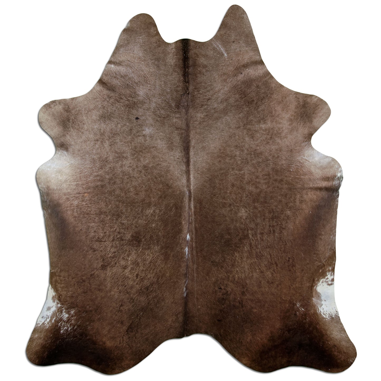 Kuhfell Teppich Dark Champagne, 210 × 200 cm – Naturprodukt, Einzelstück