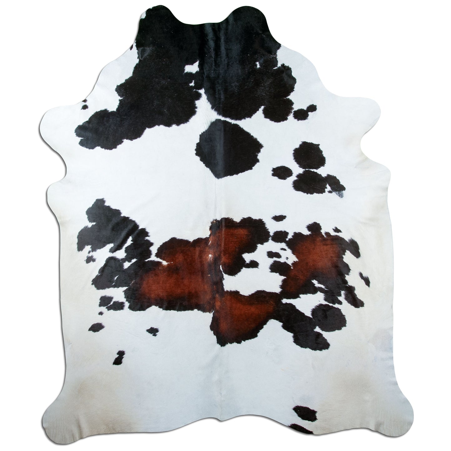 Kuhfell Teppich Tricolor, 260 × 210 cm – Naturprodukt, Einzelstück